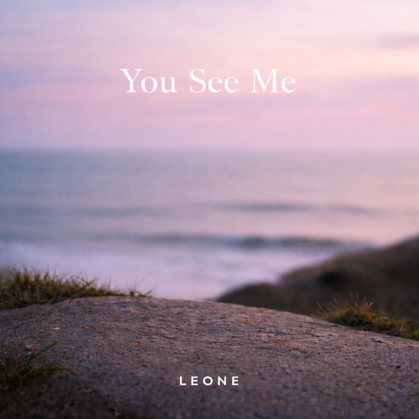 Релиз You See Me