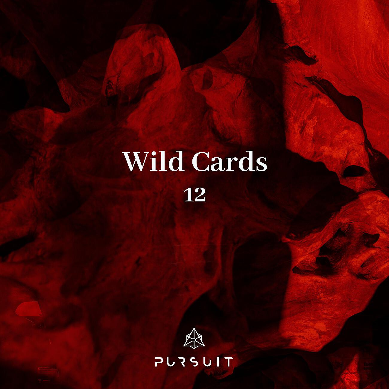 Релиз Wild Cards 12