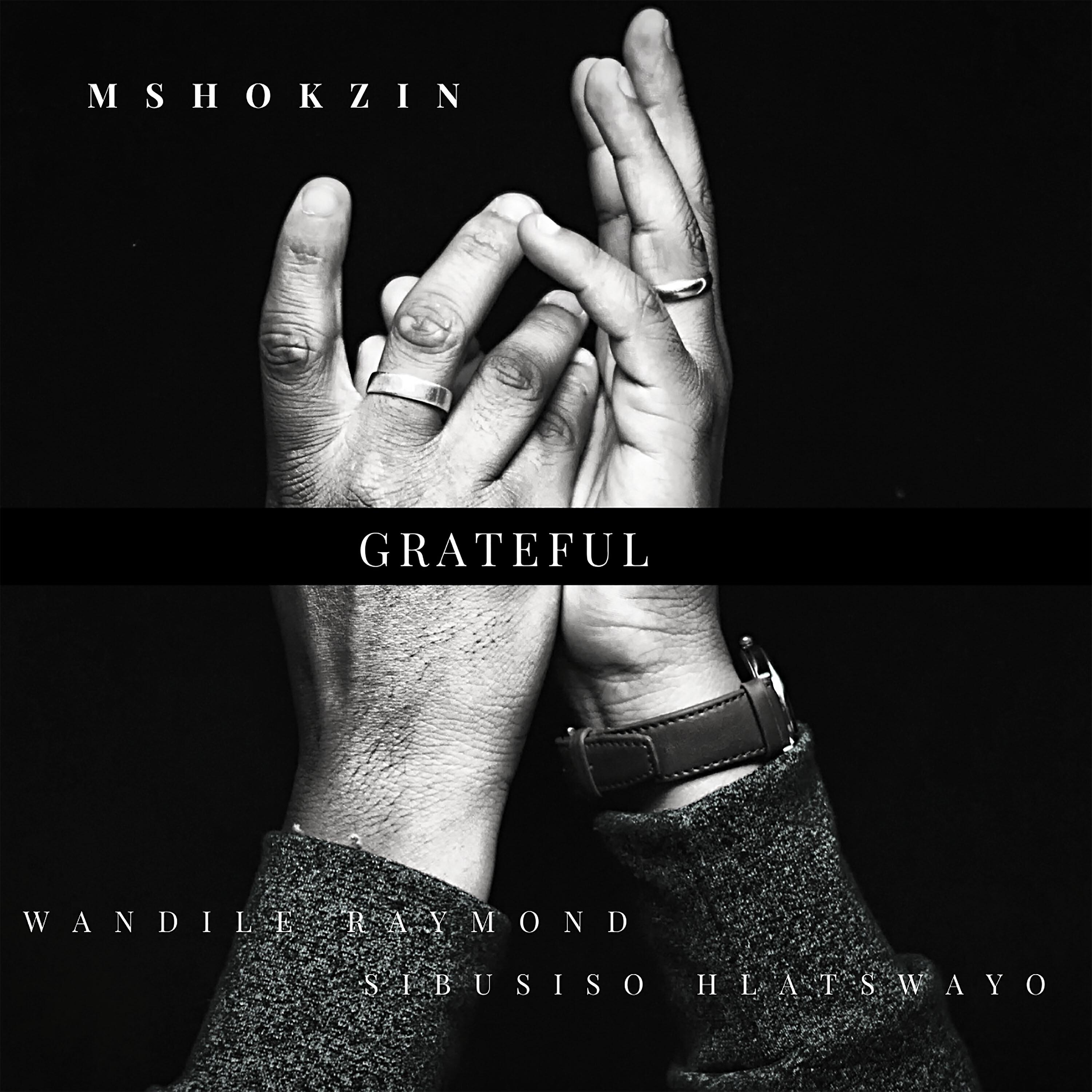 Mshokzin