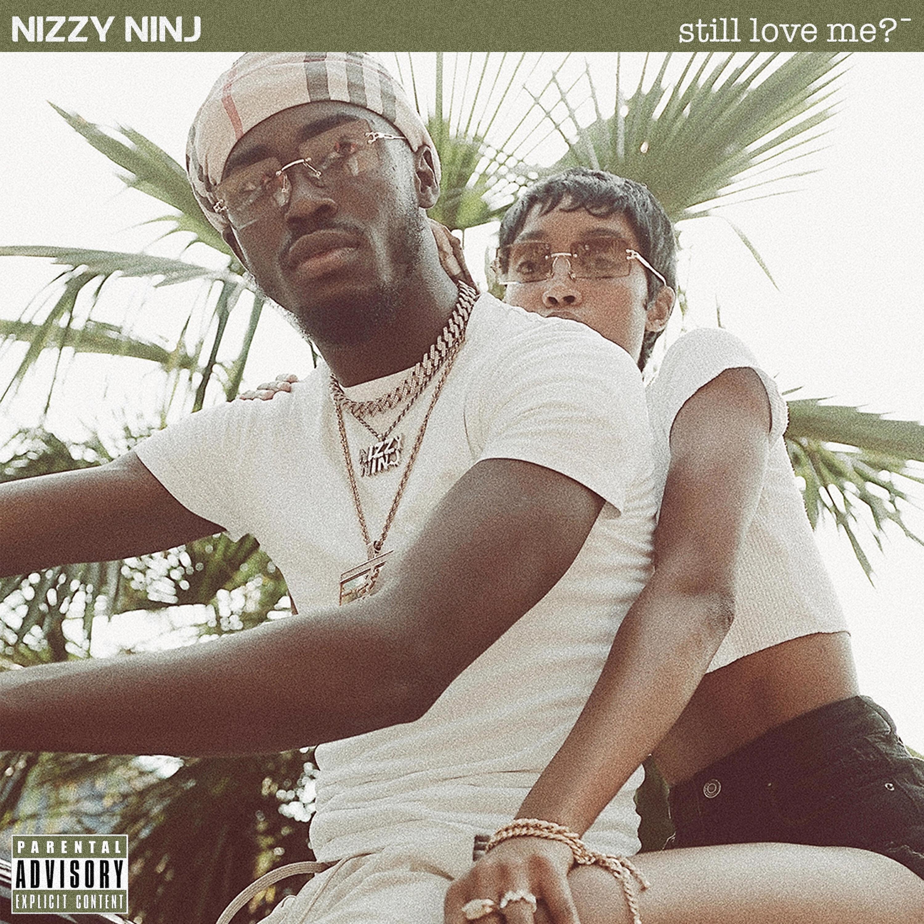 Nizzy Ninj