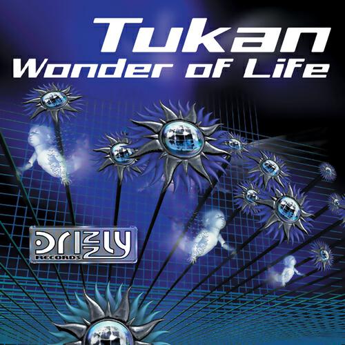 Релиз Wonder of Life