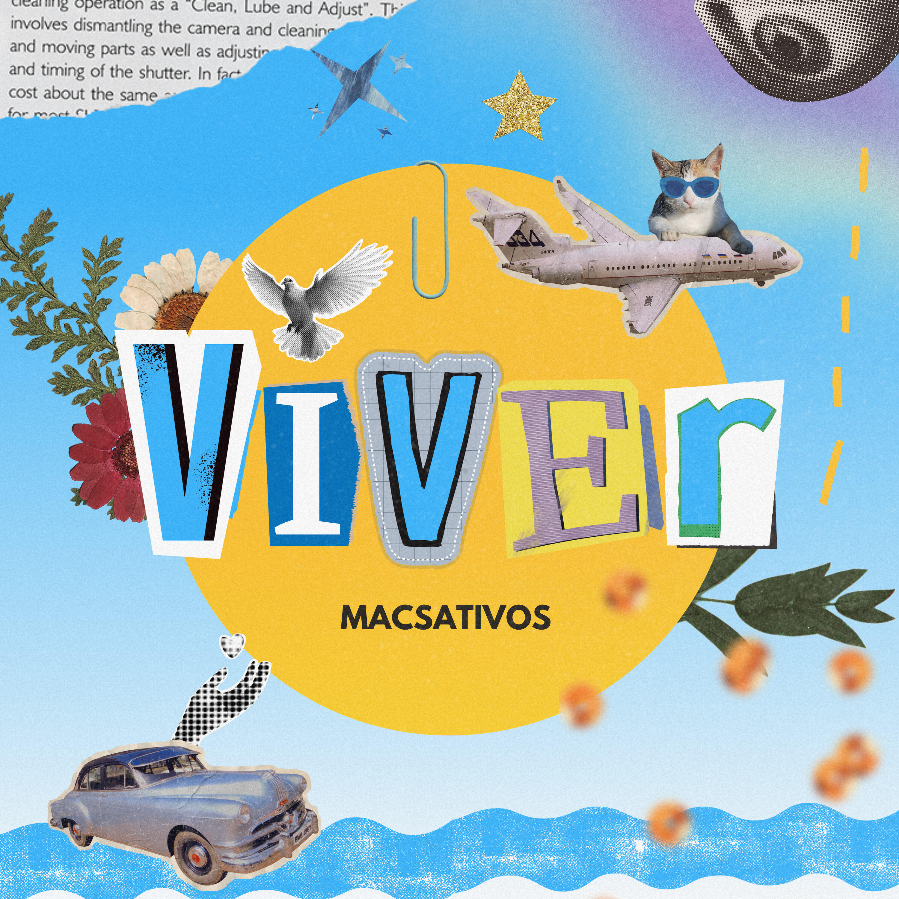 Релиз Viver