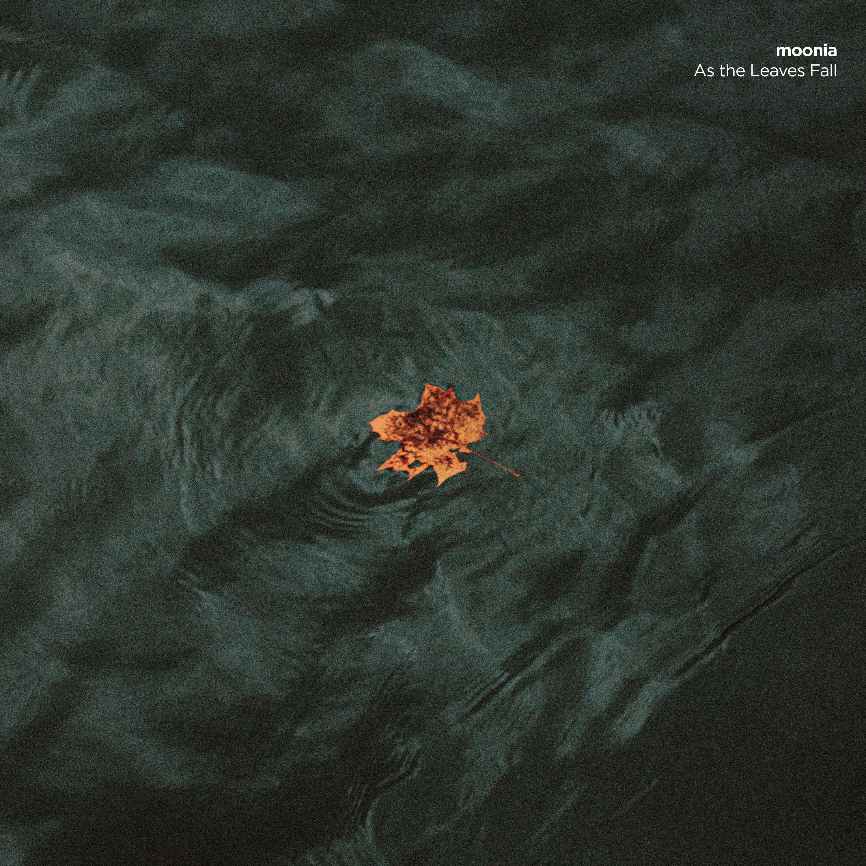 Релиз As the Leaves Fall