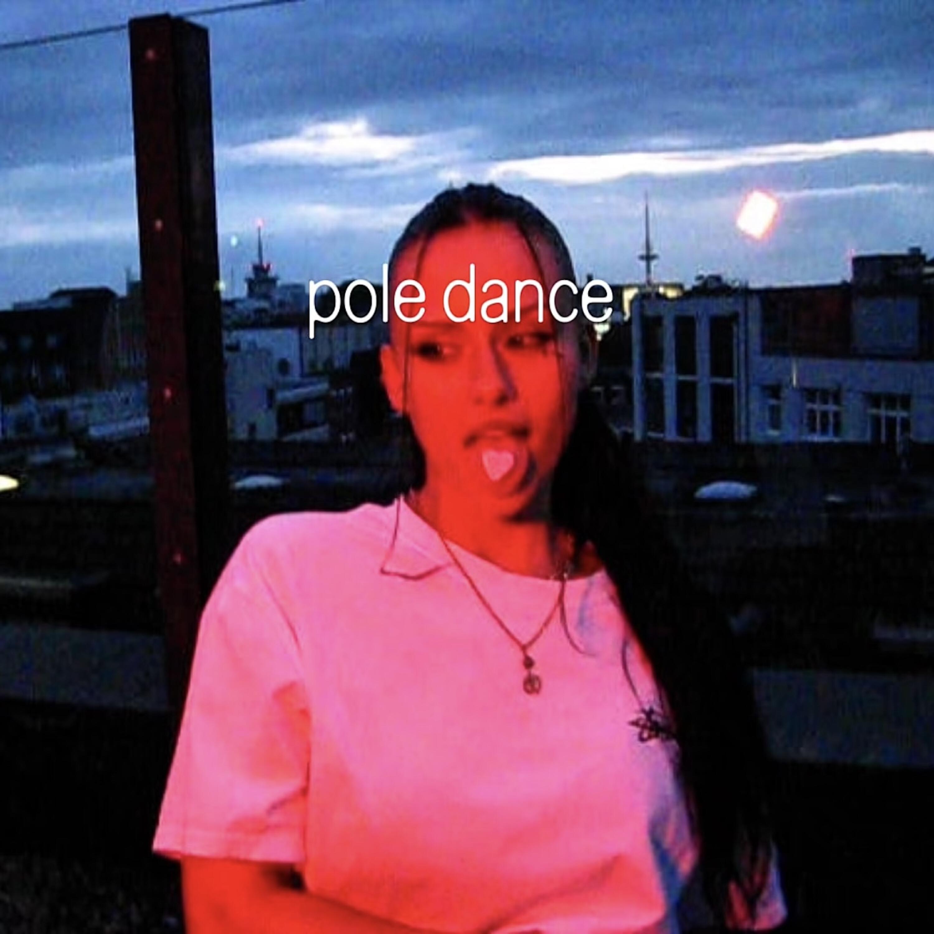 Постер альбома Pole Dance