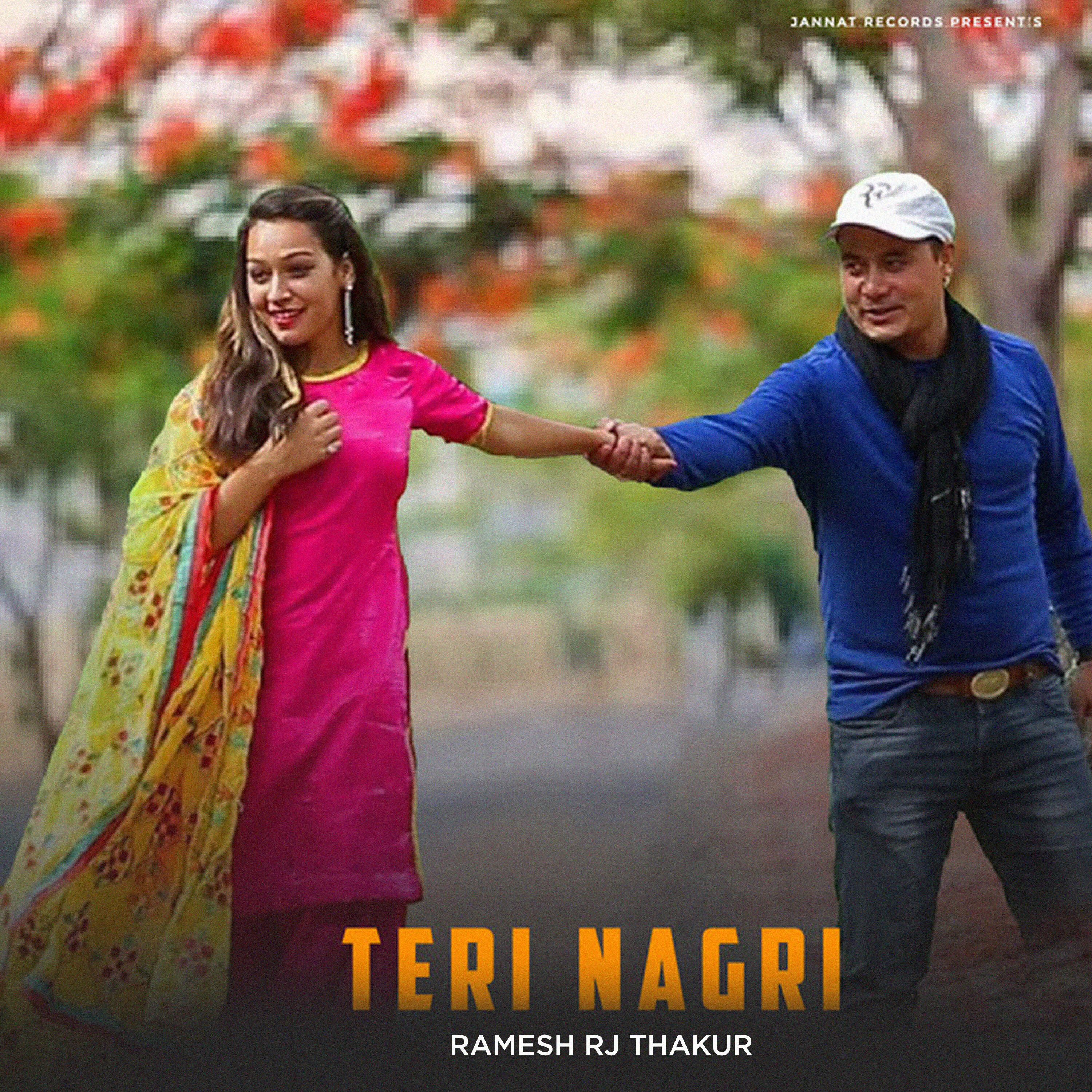 Релиз Teri Nagri