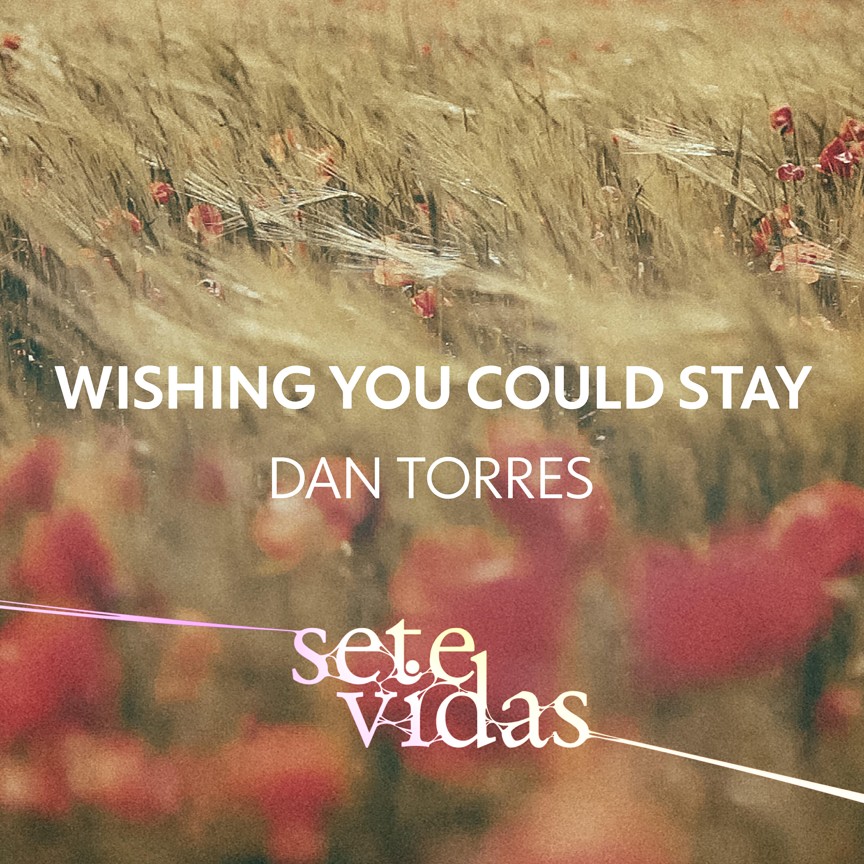 Релиз Wishing You Could Stay