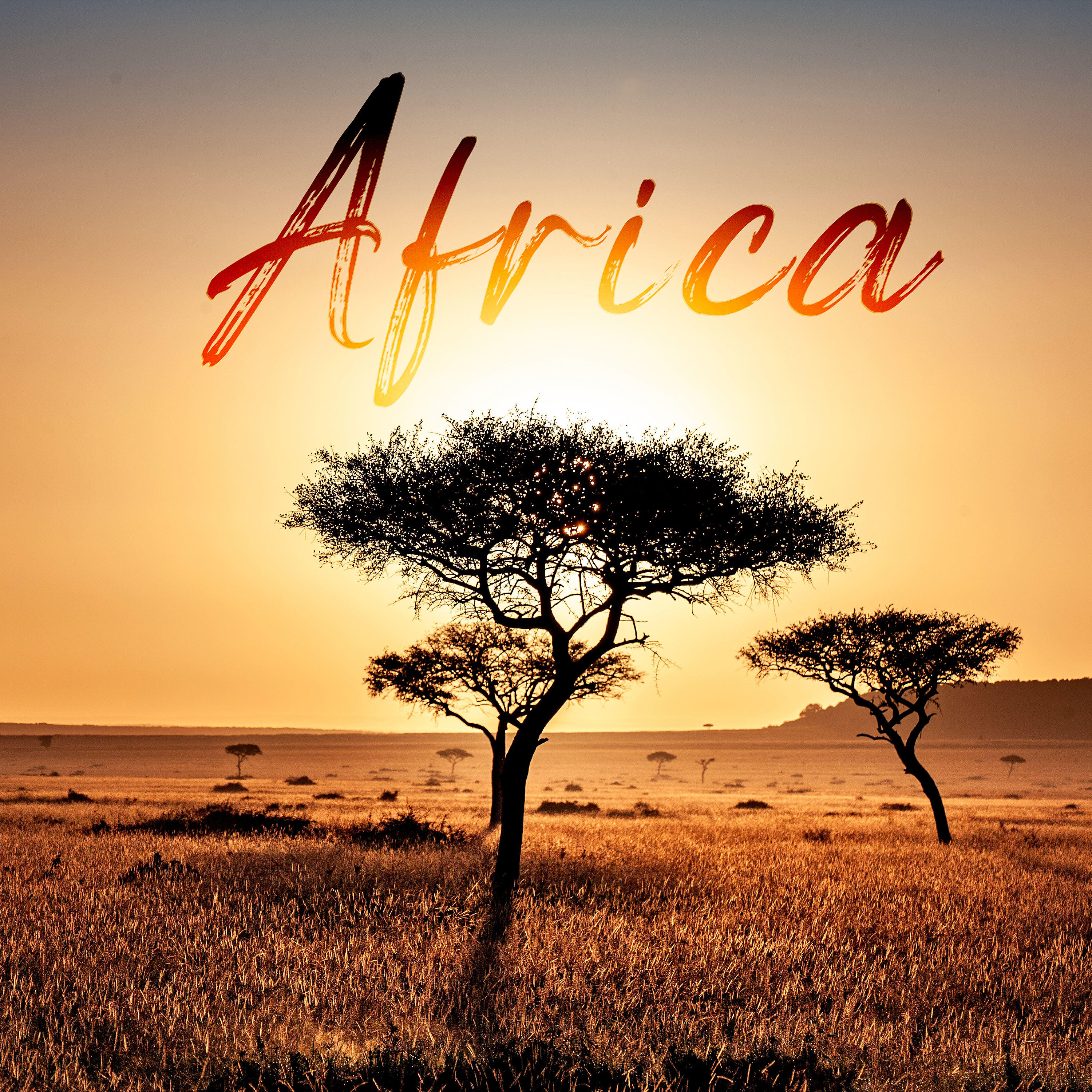 Релиз Africa