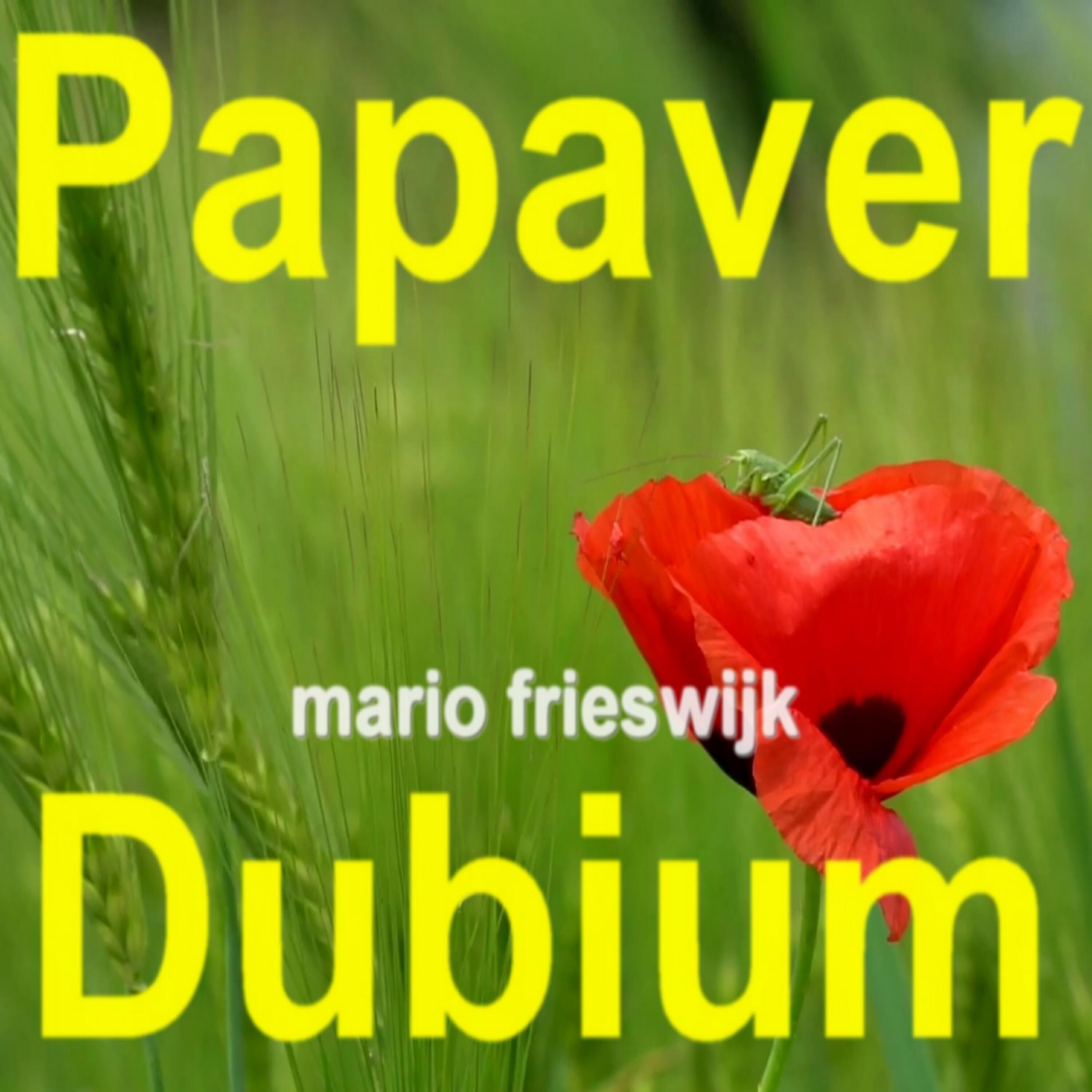 Релиз Papaver Dubium