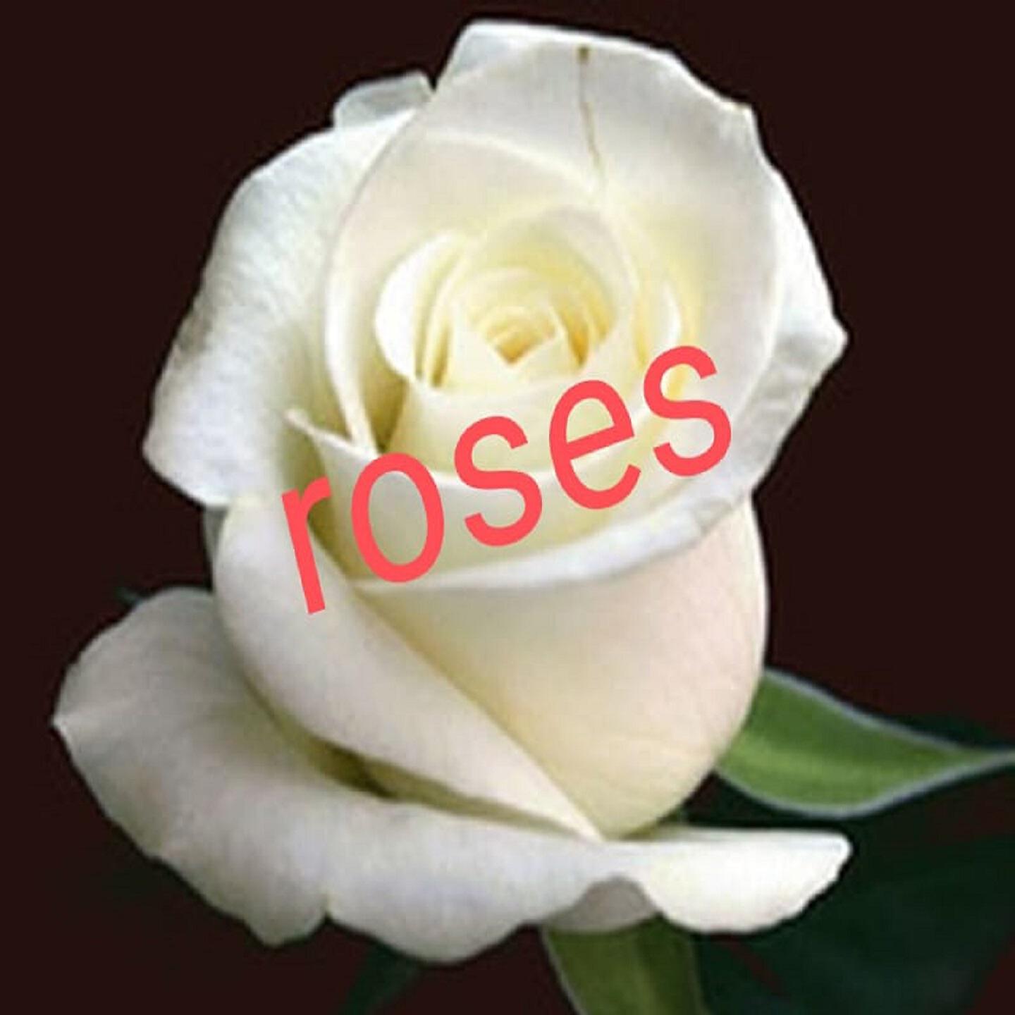 Постер альбома Roses