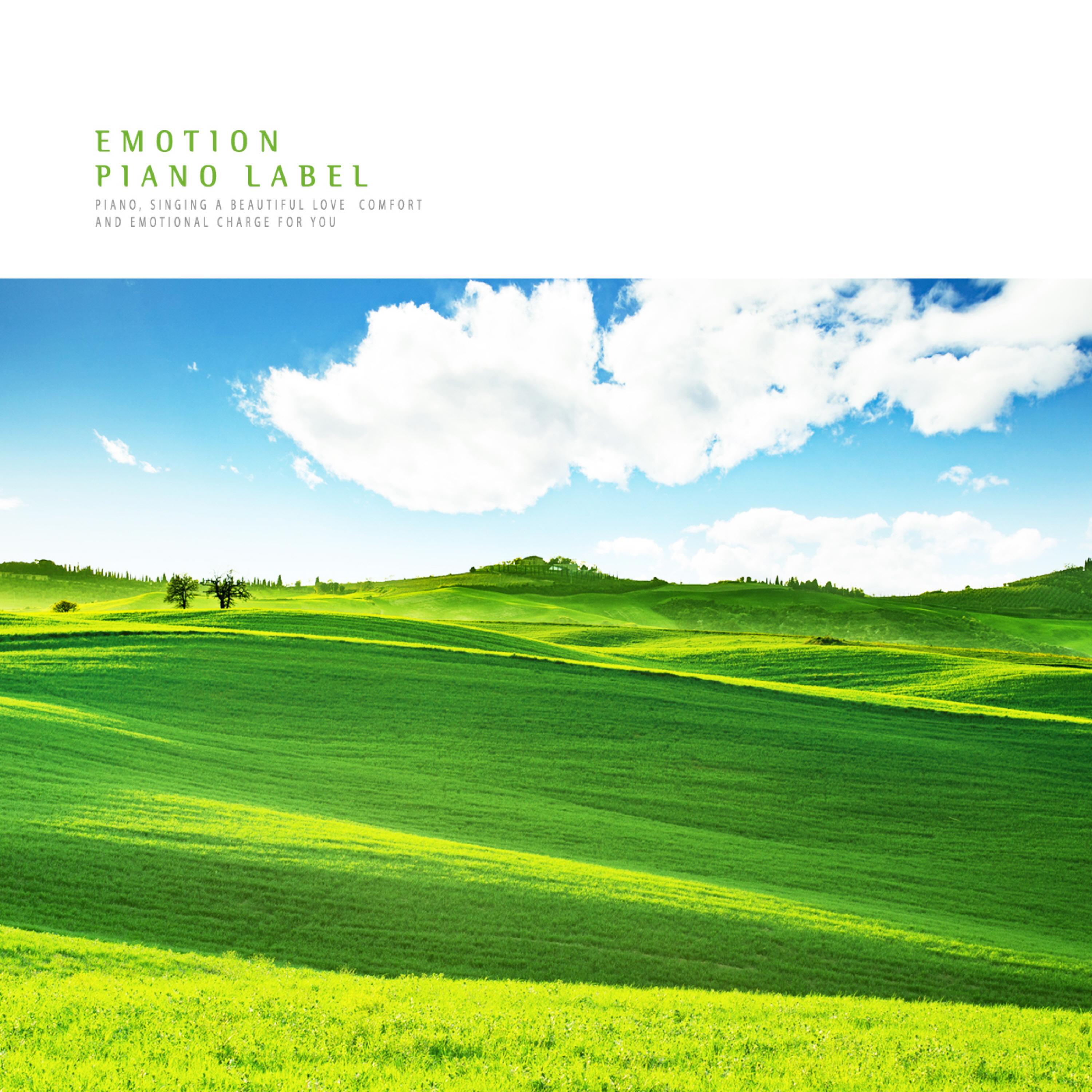 Релиз Meditation Music Collection For Relaxation