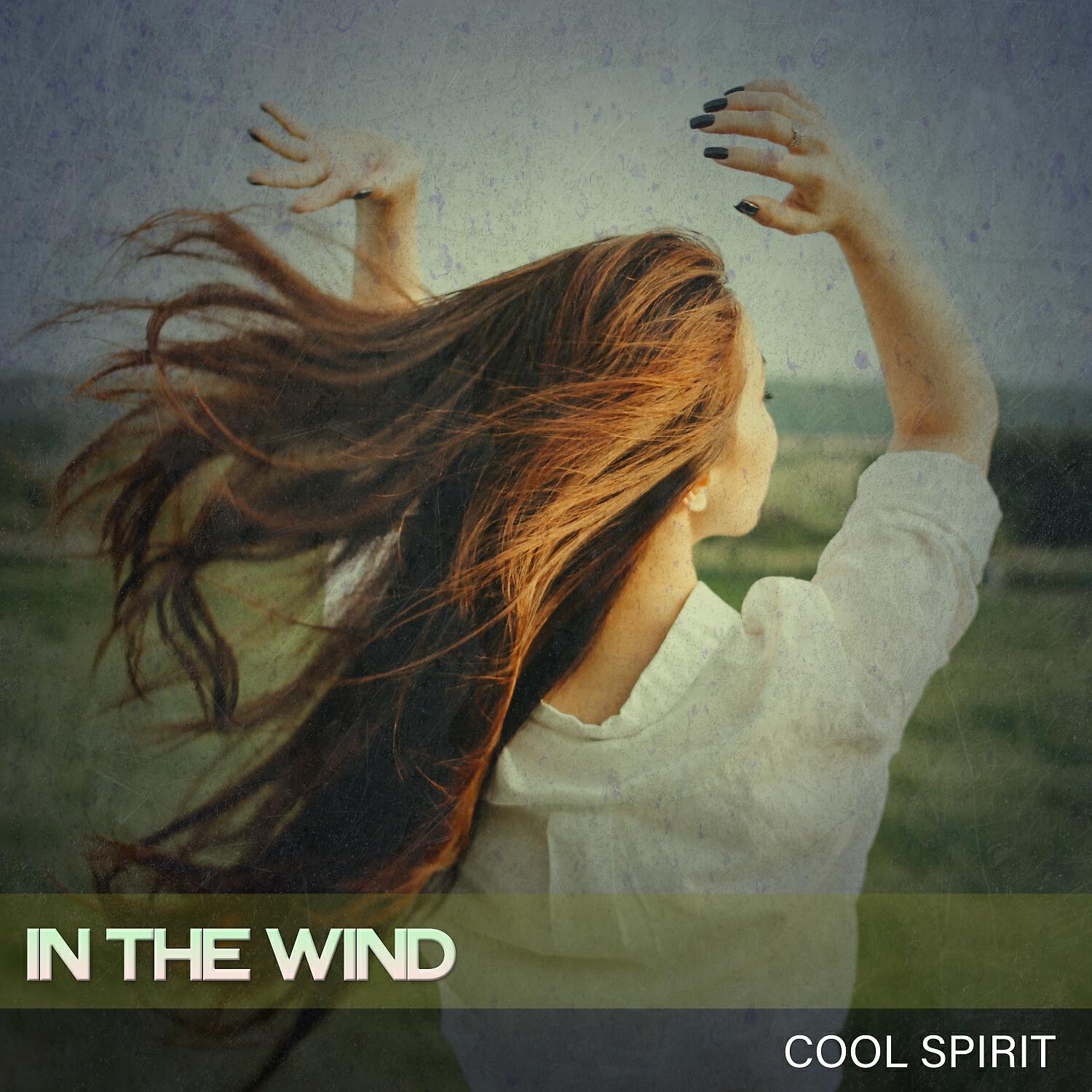 Релиз In the Wind