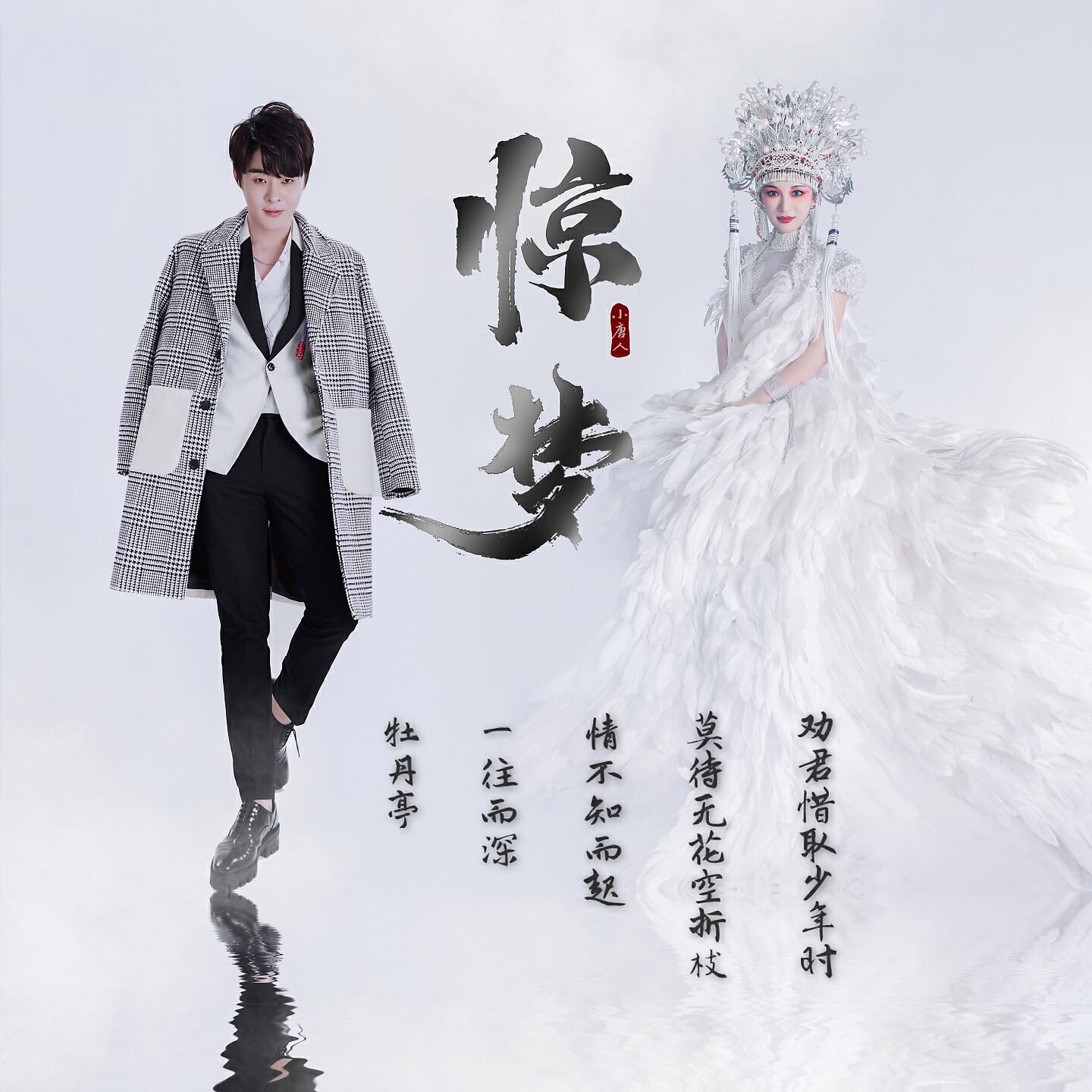 Релиз 惊梦
