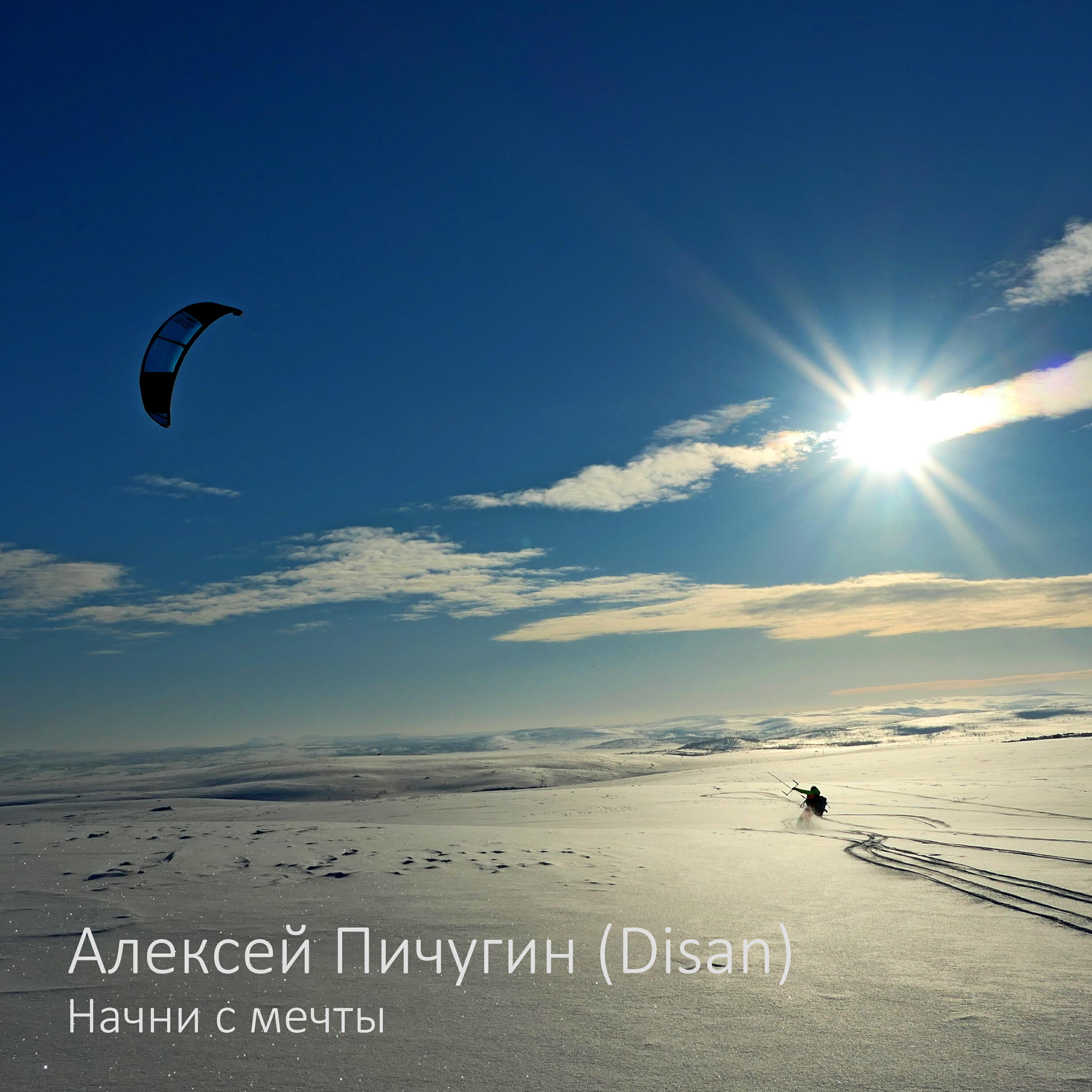 Алексей Пичугин (Disan)