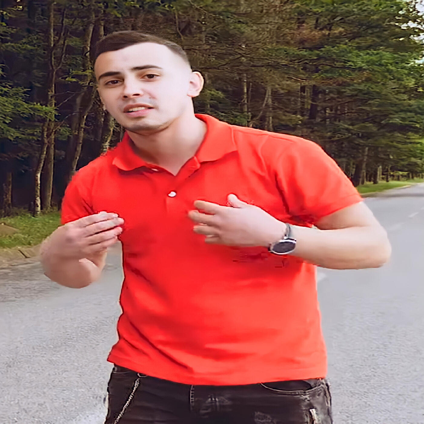 Релиз Sunt O Panarama