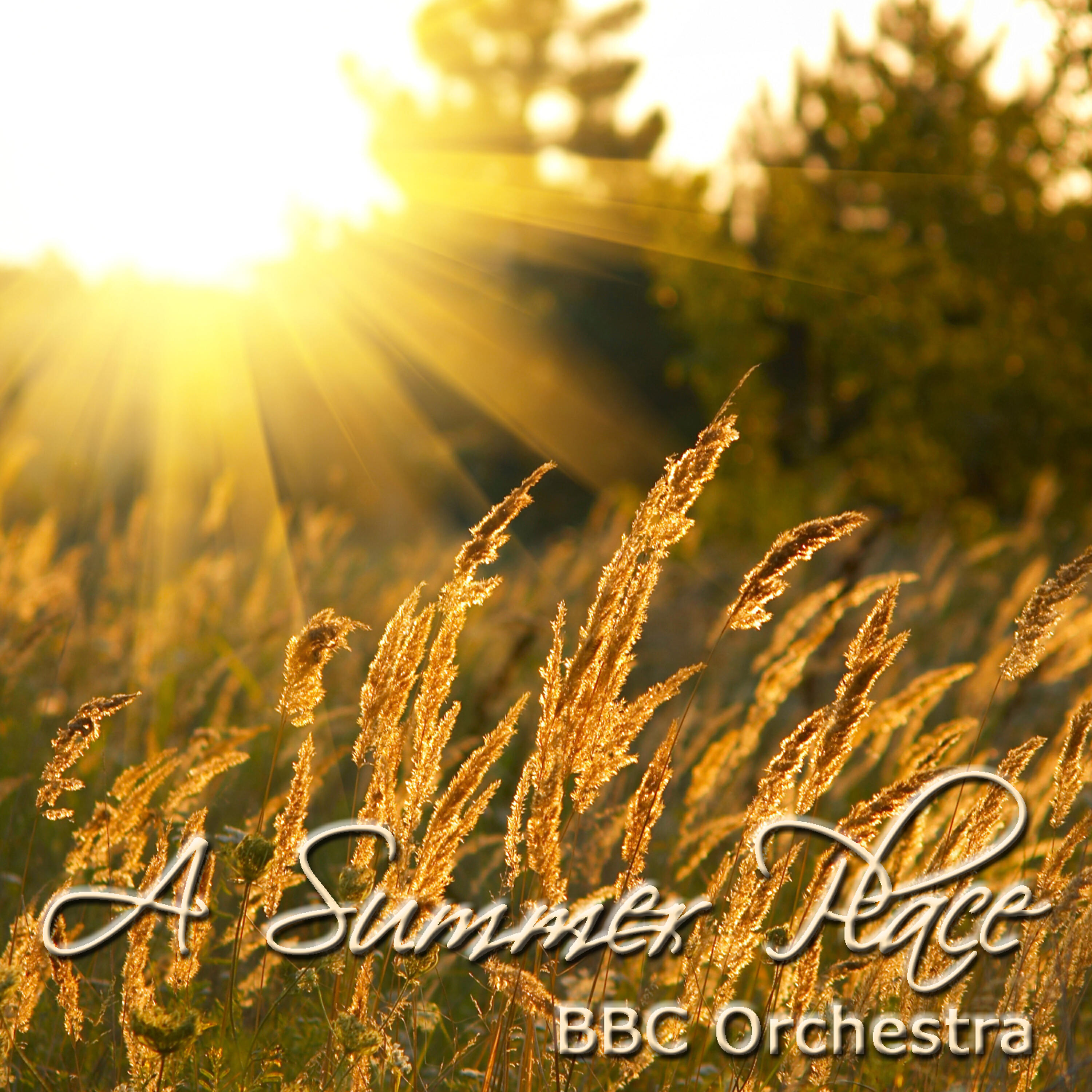 Релиз A Summer Place