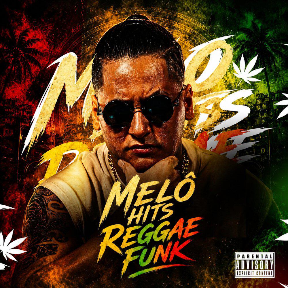 Релиз Melô Hits Reggae Funk