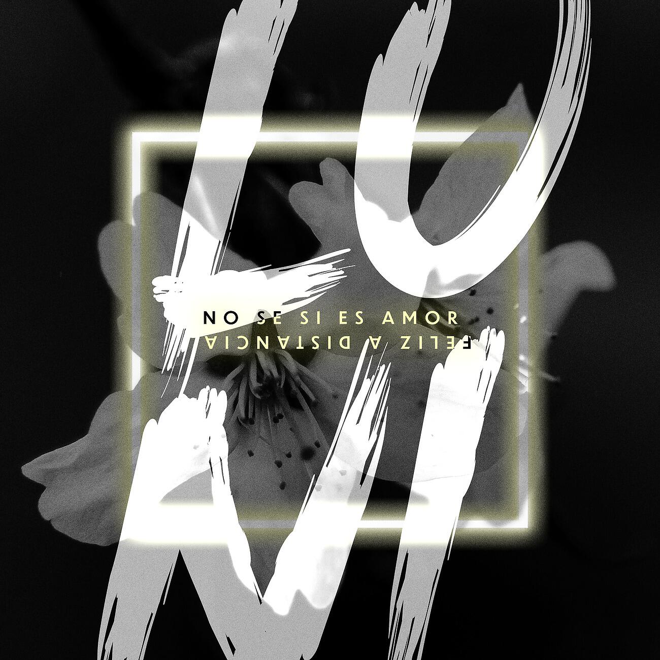 Релиз No Se Si Es Amor / Feliz a Distancia