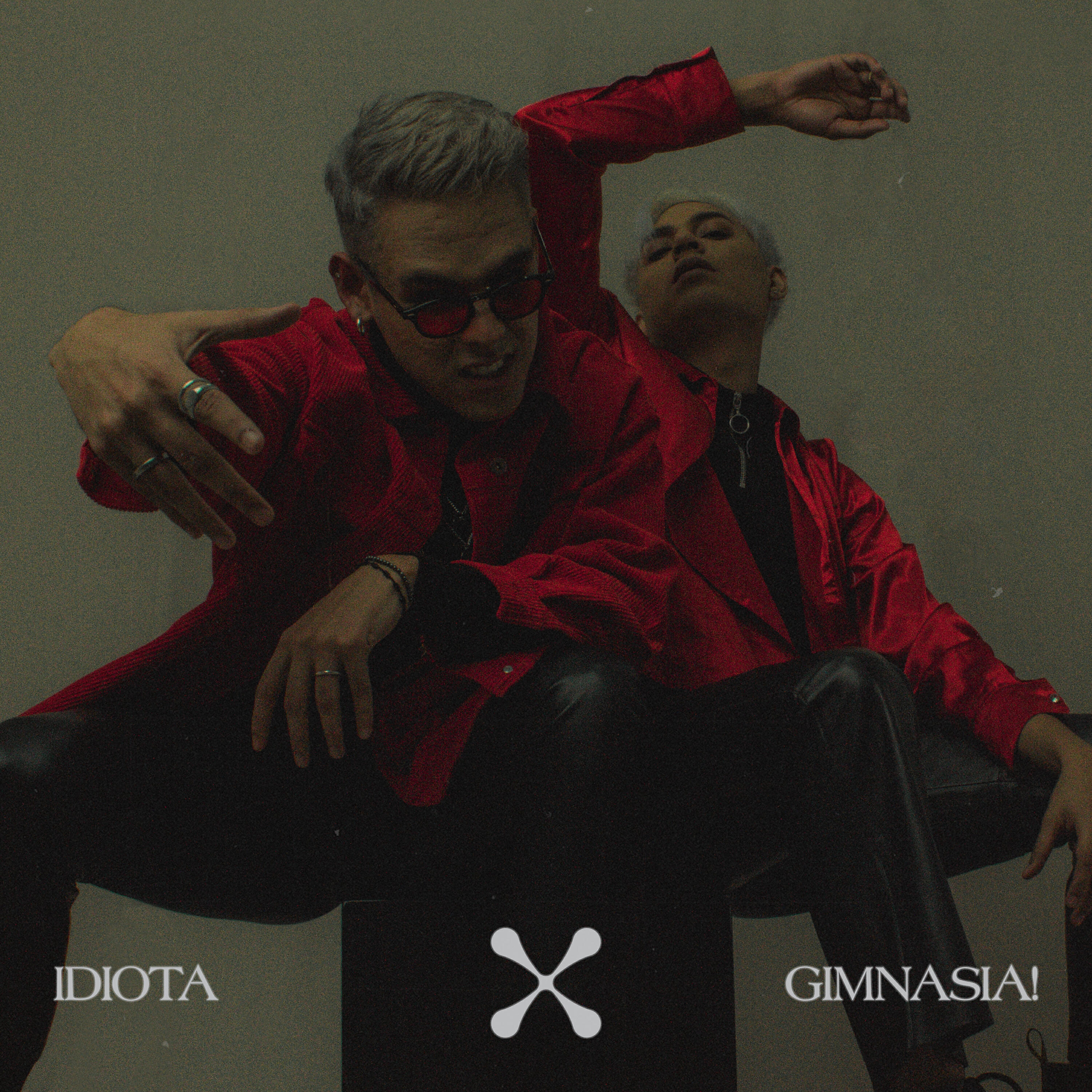 Релиз Idiota