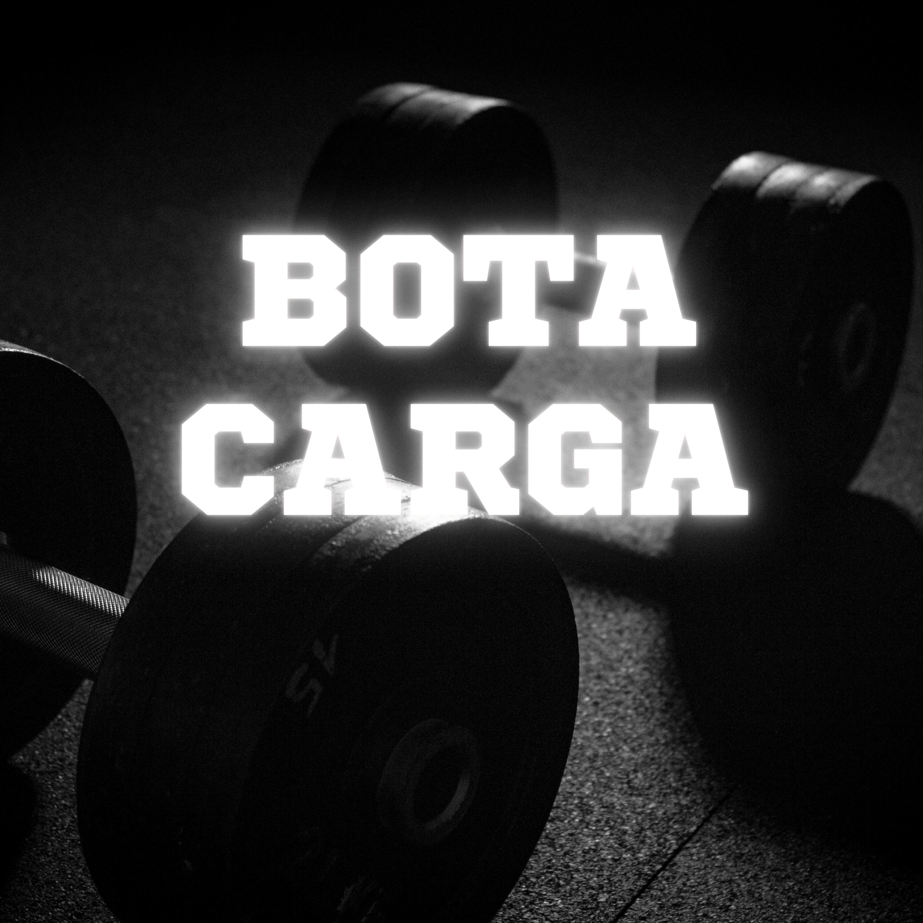 Релиз Bota Carga