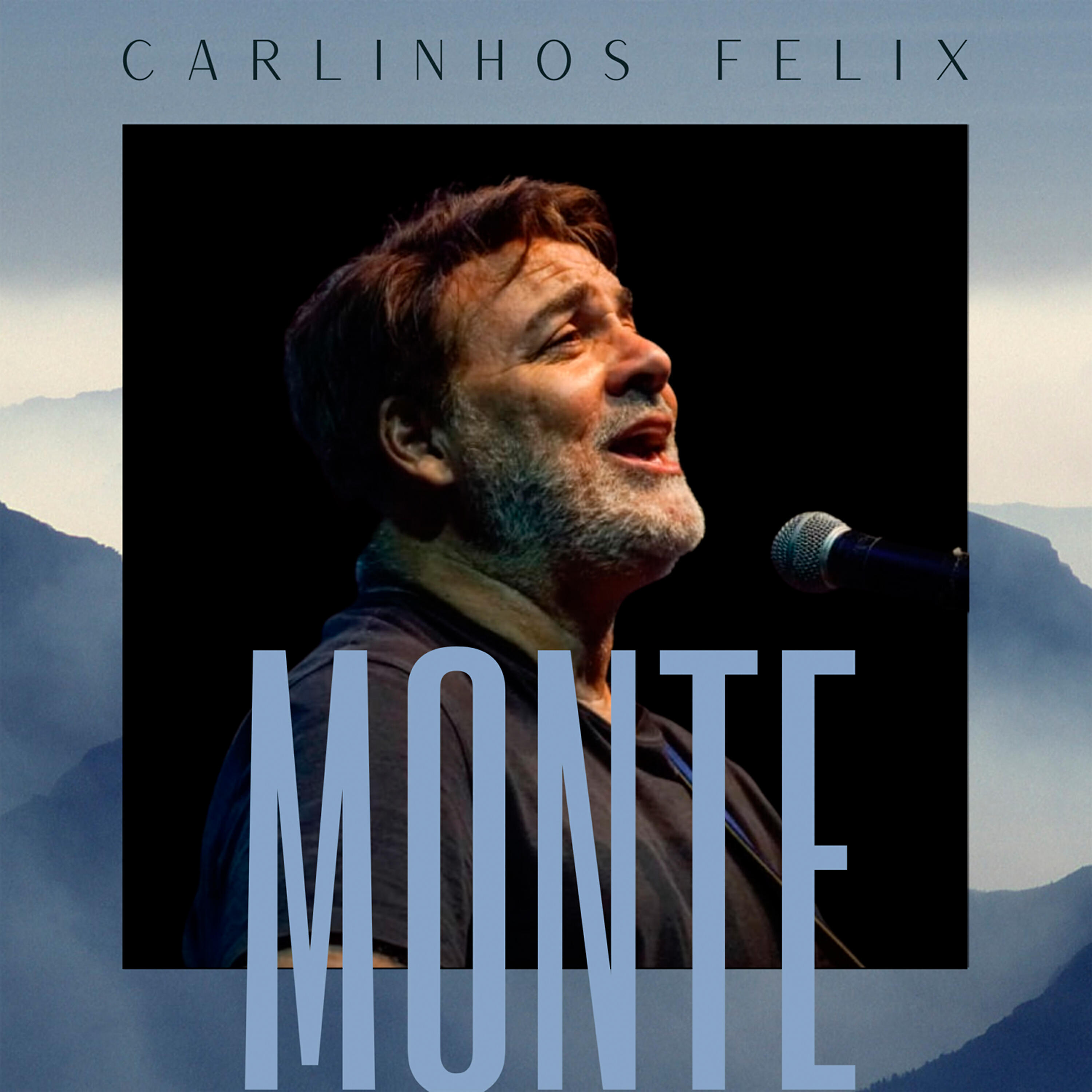 Релиз Monte