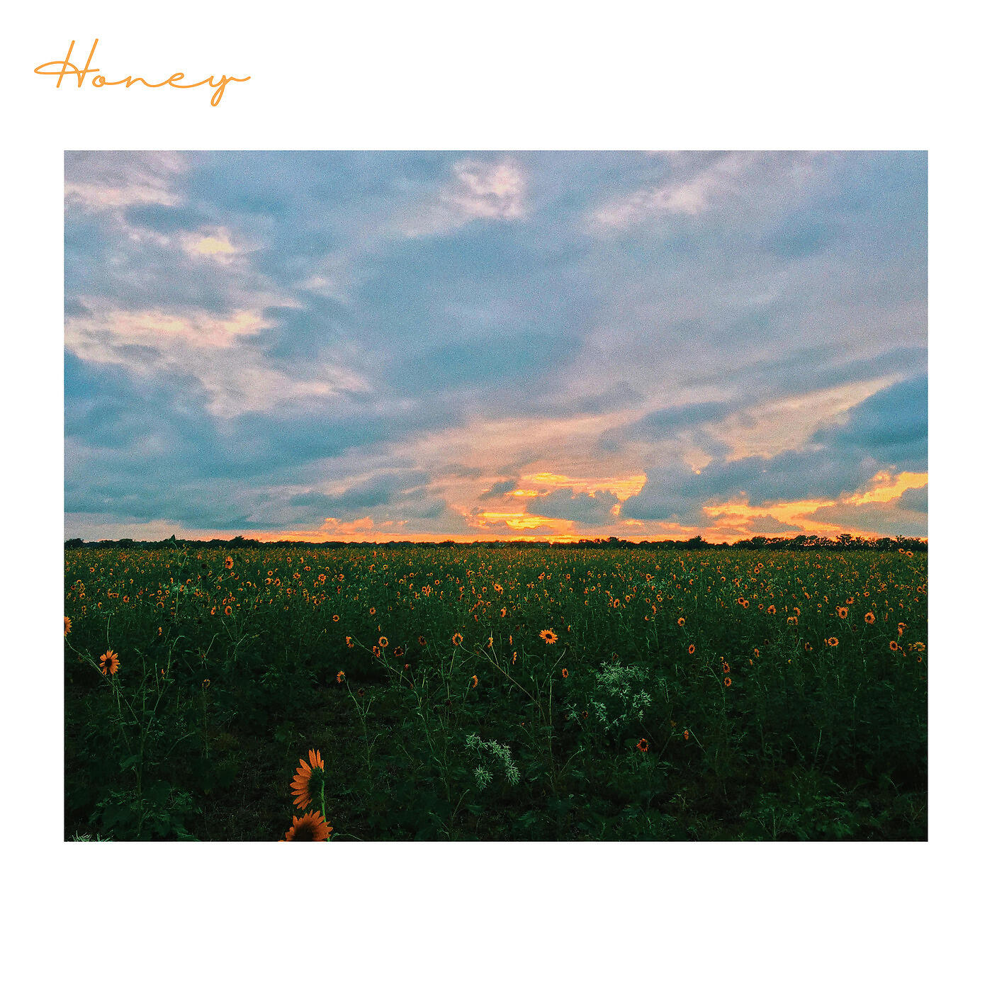 Релиз Honey