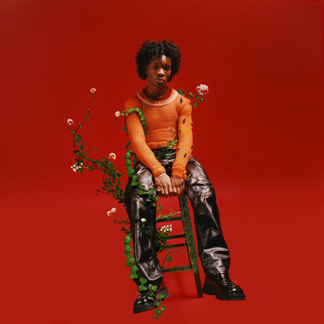Релиз Petals to Thorns