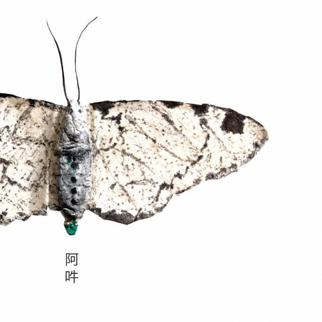 Релиз AUN