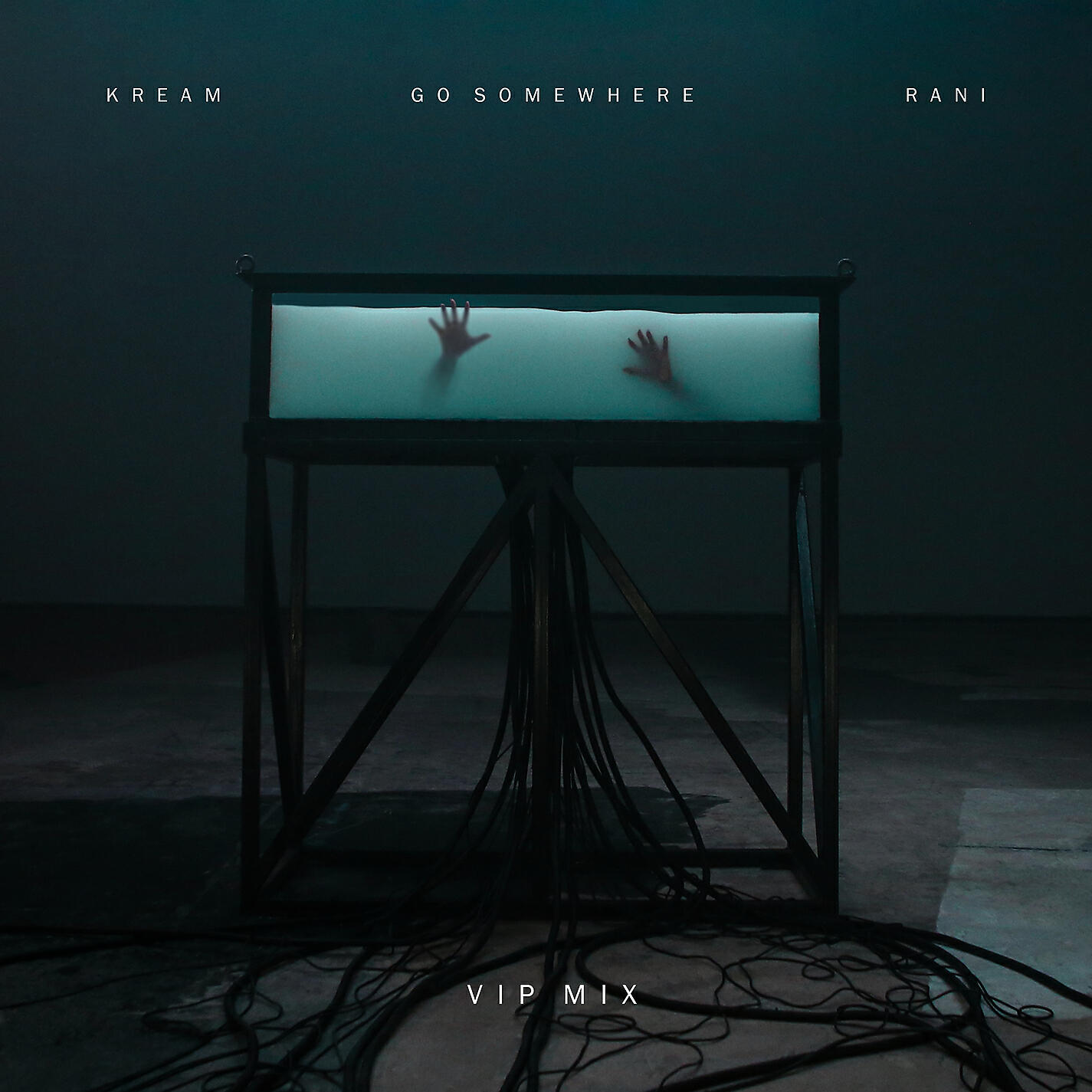 Релиз Go Somewhere (VIP Mix)