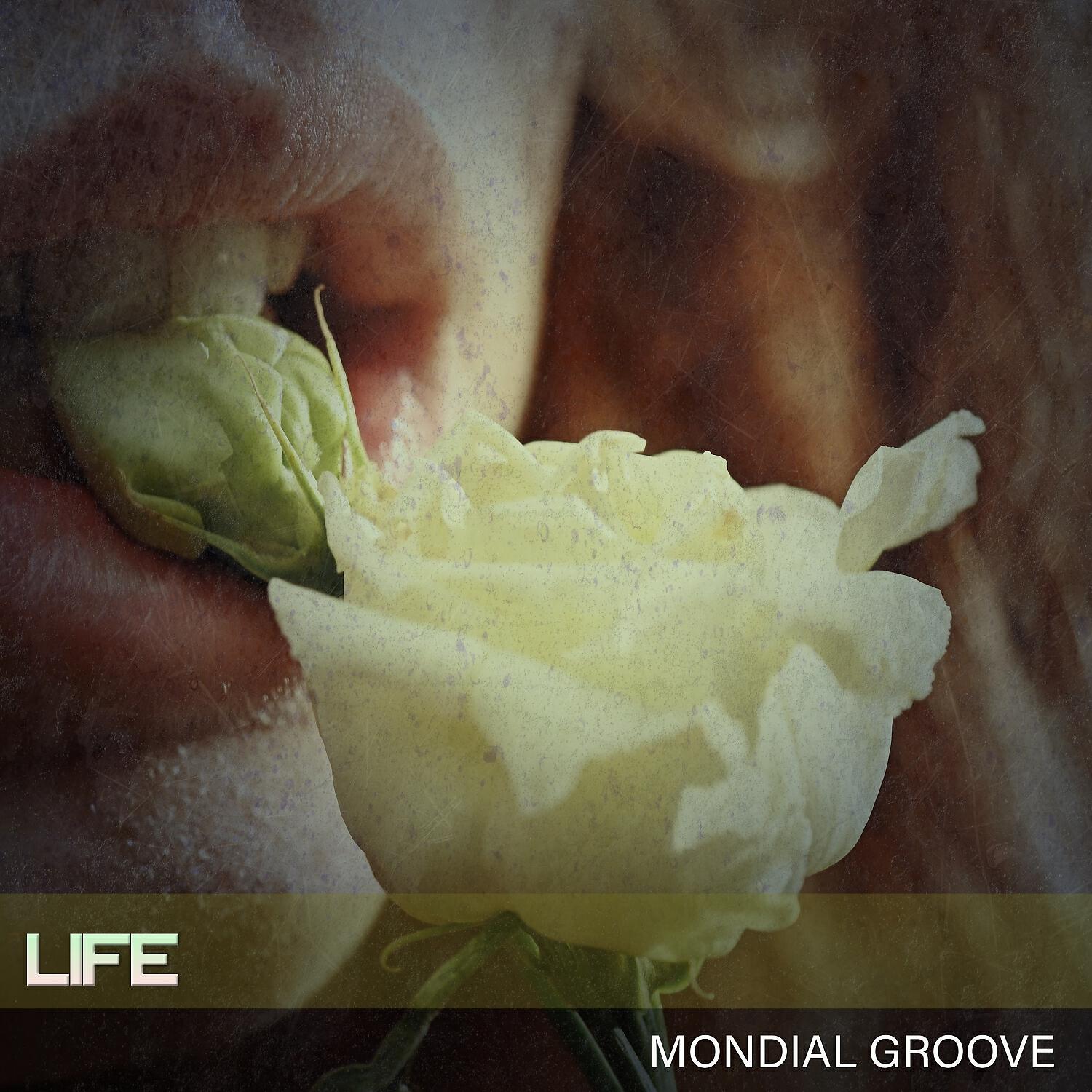 Mondial Groove