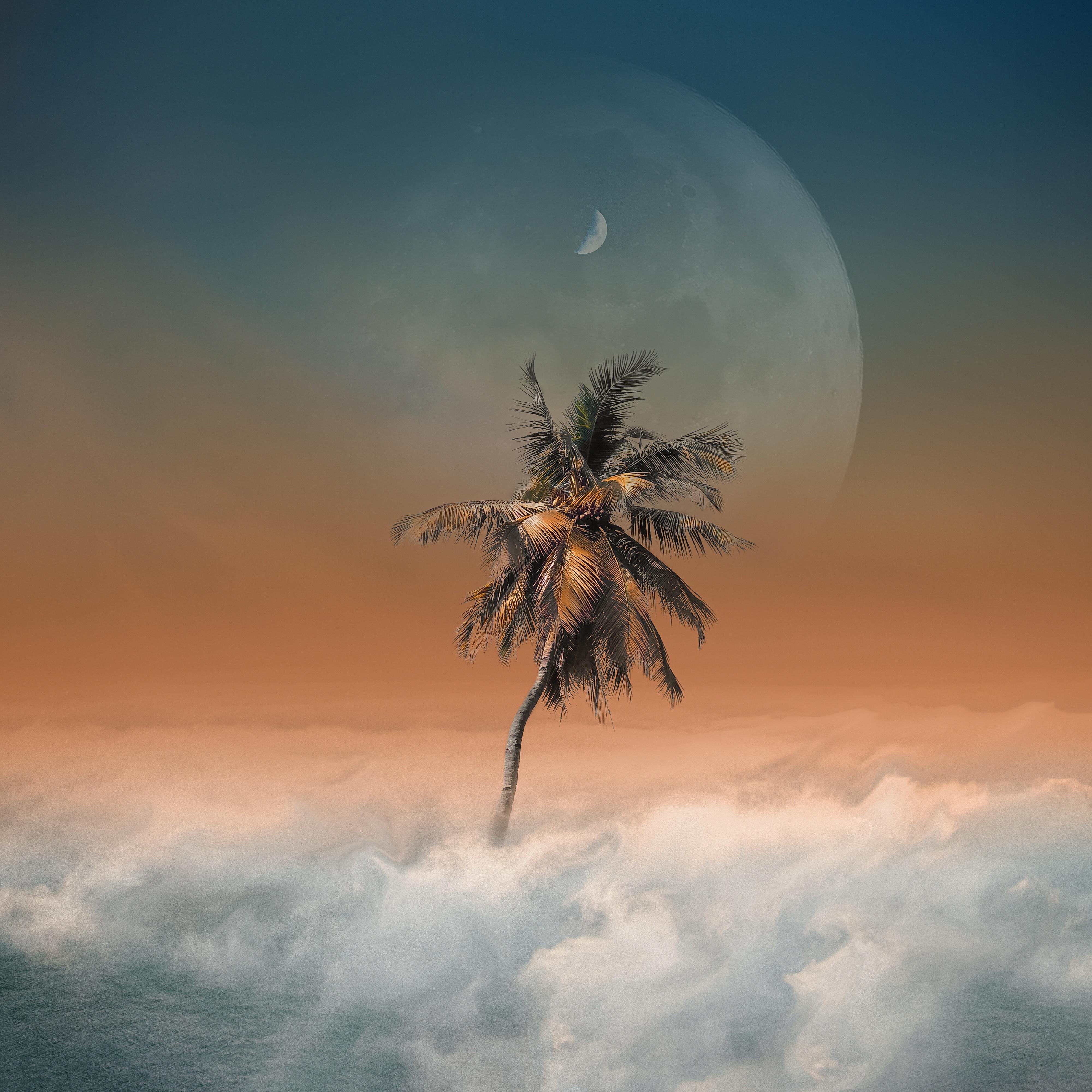 Релиз Cali Love