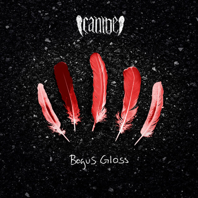 Релиз Bogus Gloss