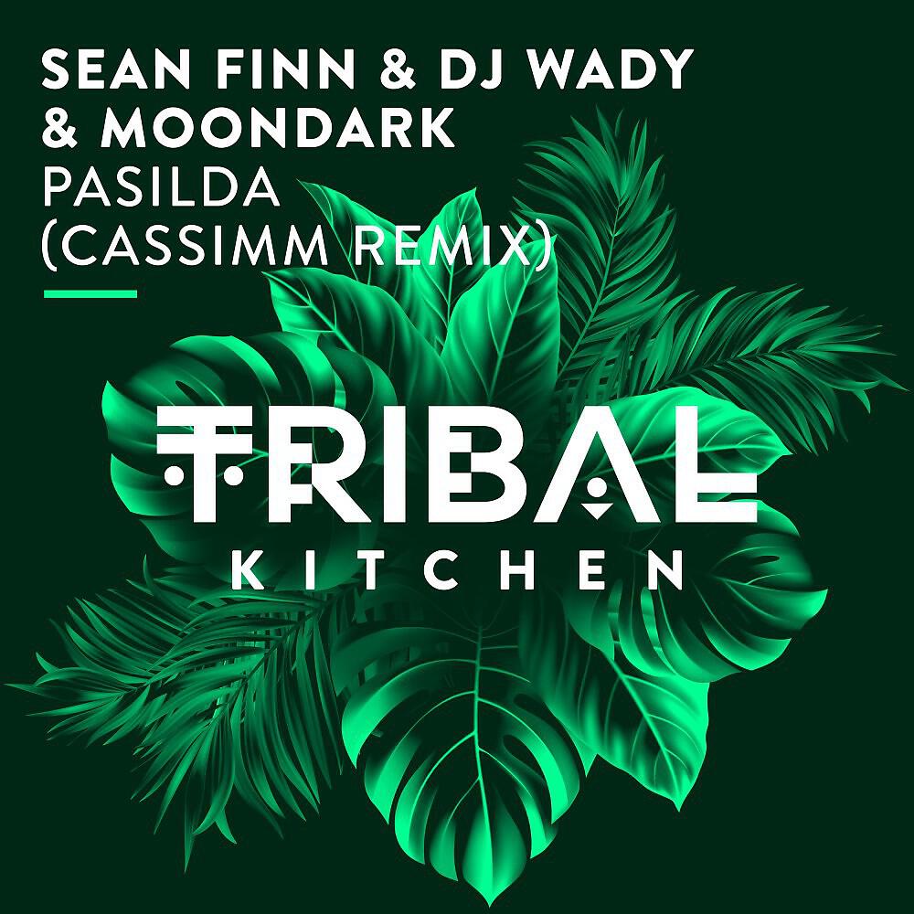 Скачать песню Sean Finn, DJ Wady, MoonDark - Pasilda (CASSIMM Radio Edit) бесплатно в MP3 для Android и iOS