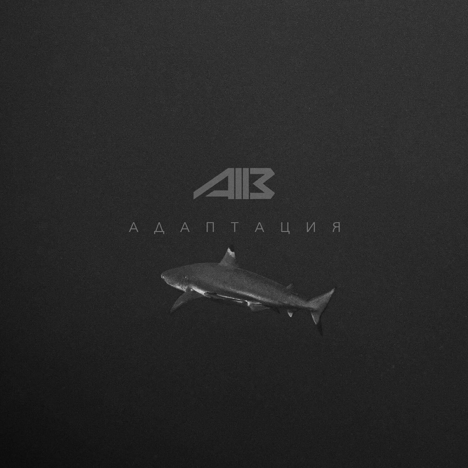 Релиз Адаптация