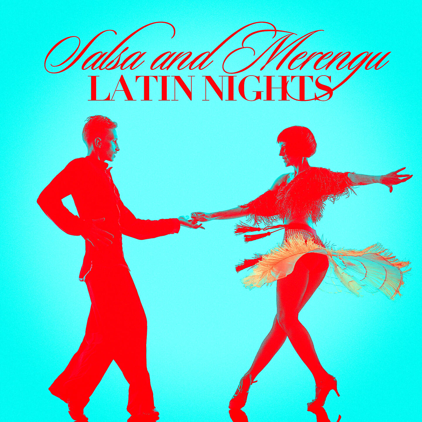 Релиз Salsa and Merengue Latin Nights