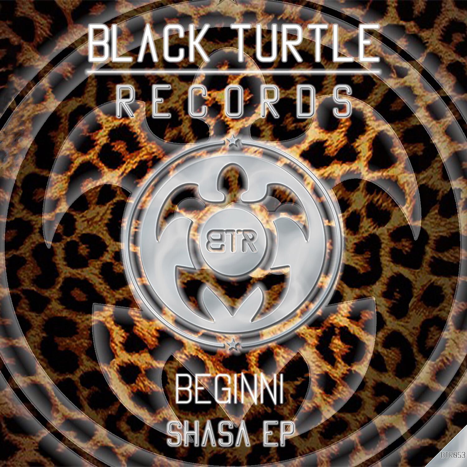 Релиз Shasa EP