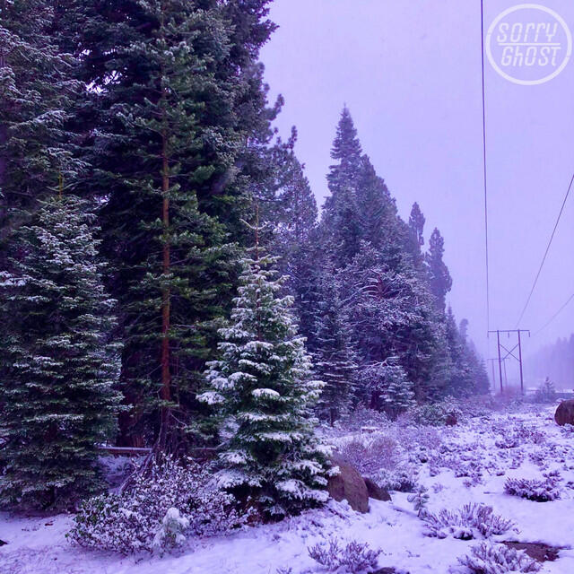 Релиз Snowy Sessions (Acoustic)