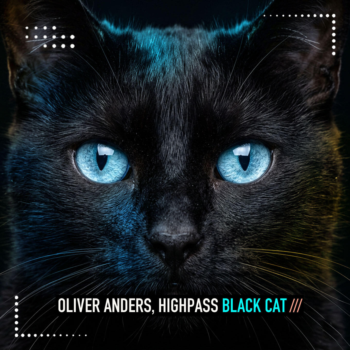 Релиз Black Cat