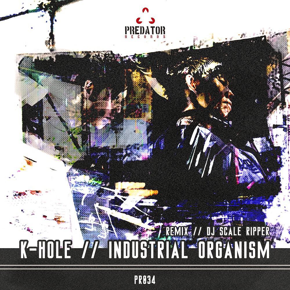 Релиз Industrial Organism