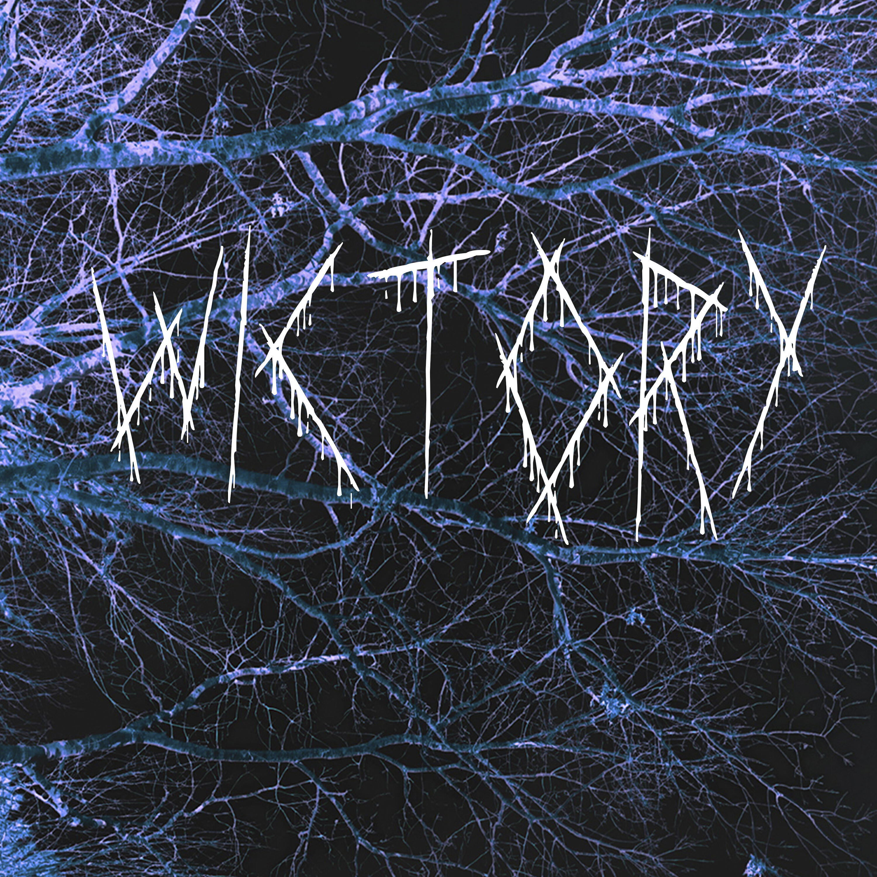 Релиз Victory