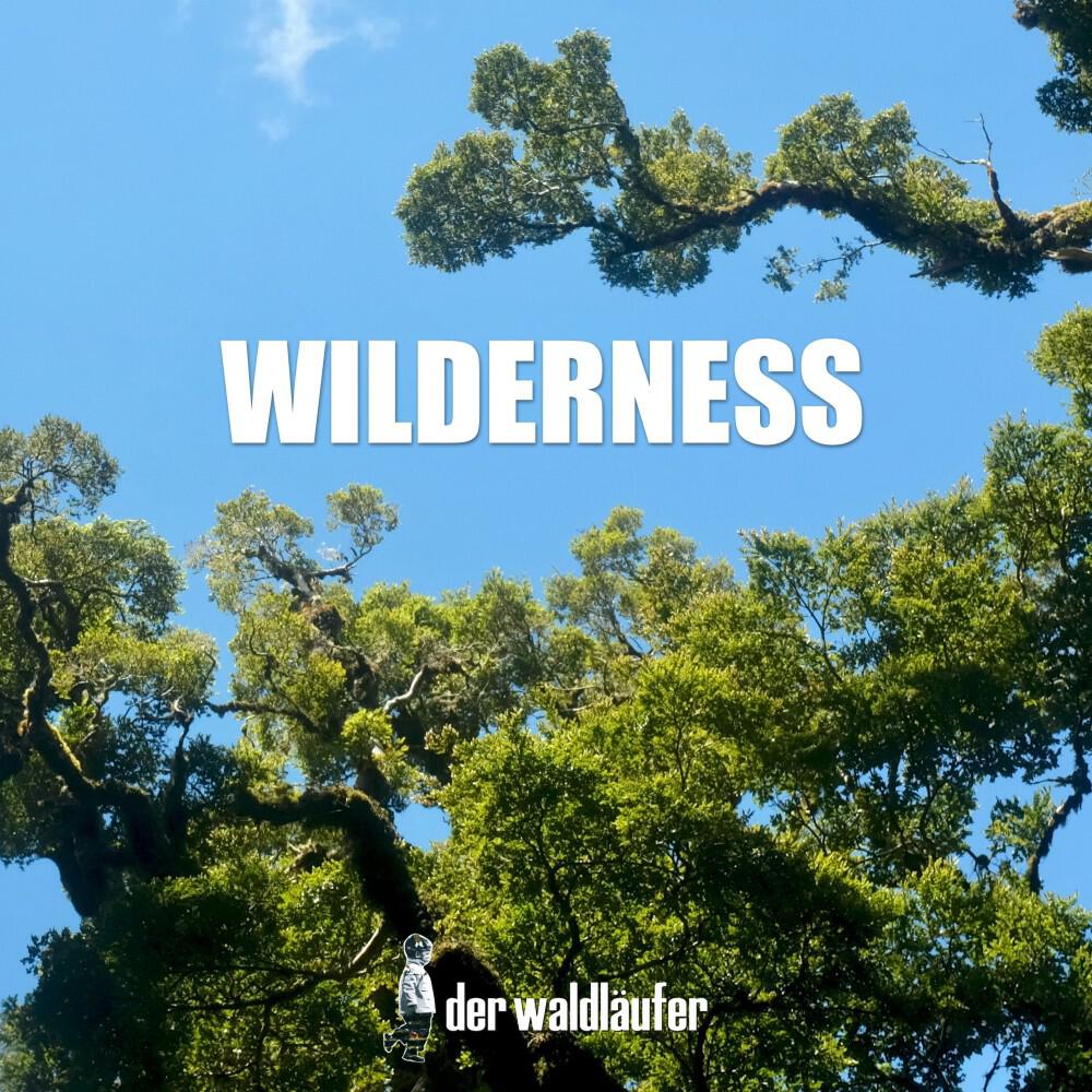 Релиз Wilderness