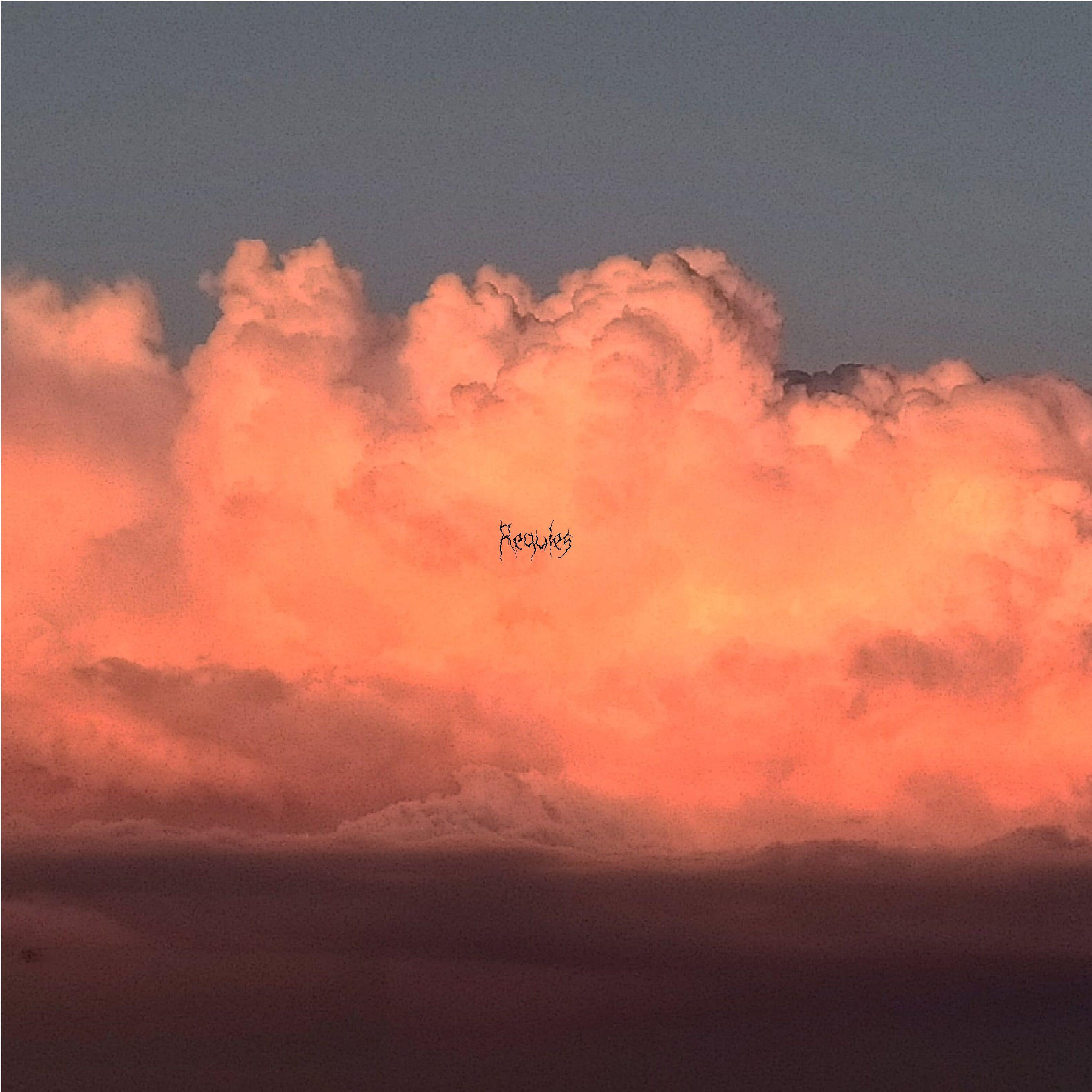 Постер альбома Requies