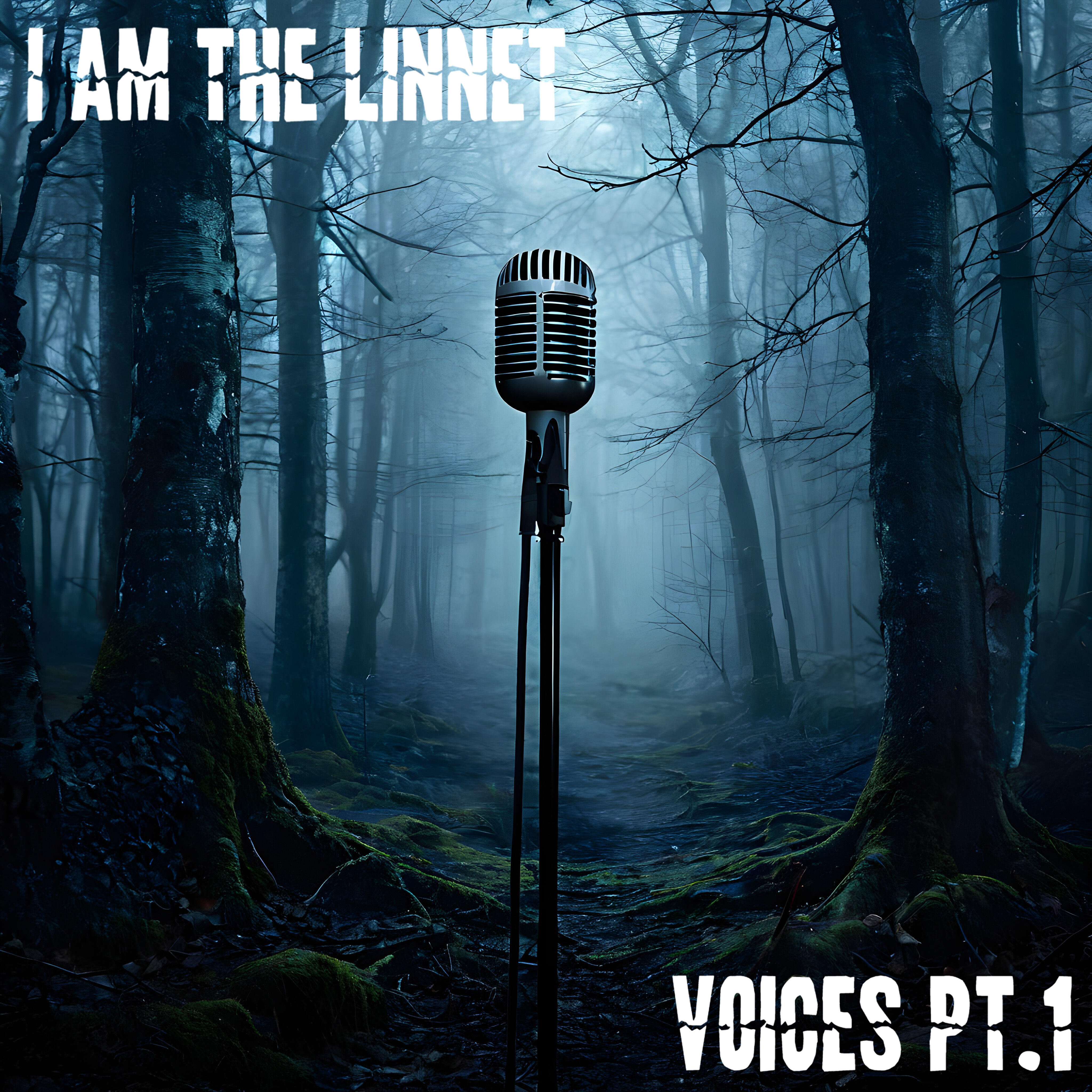 Релиз Voices, Pt. 1