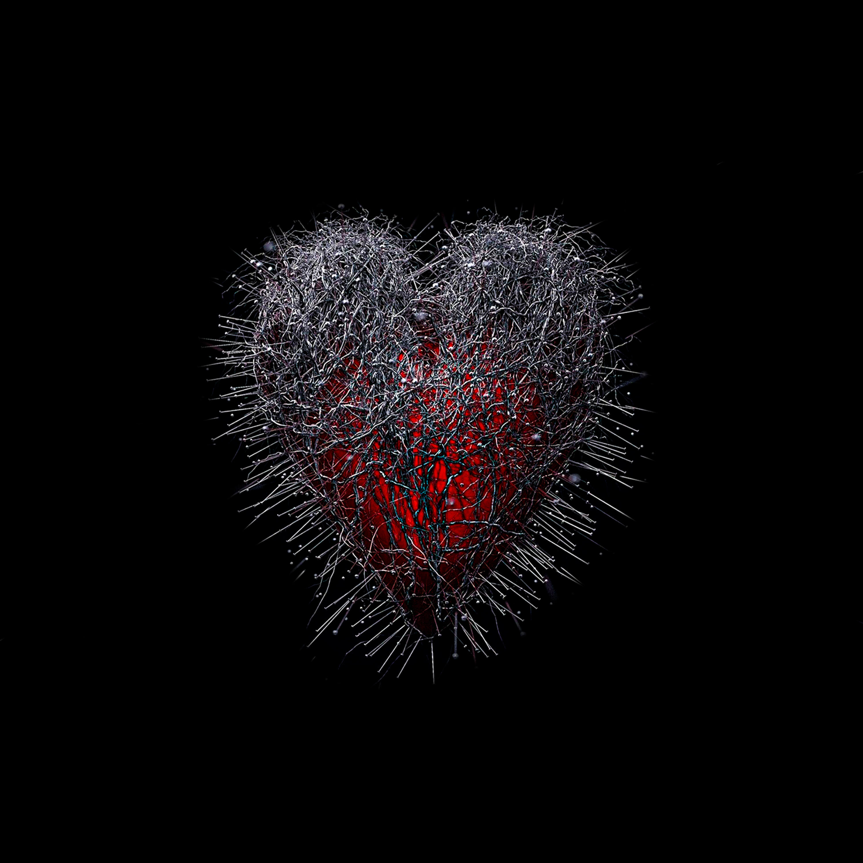 Релиз Heart
