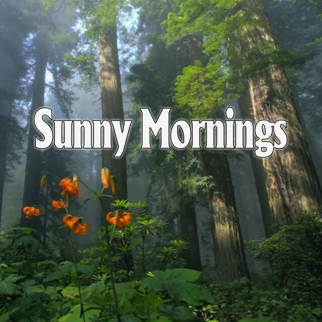 Релиз Peaceful Piano Sunny Mornings