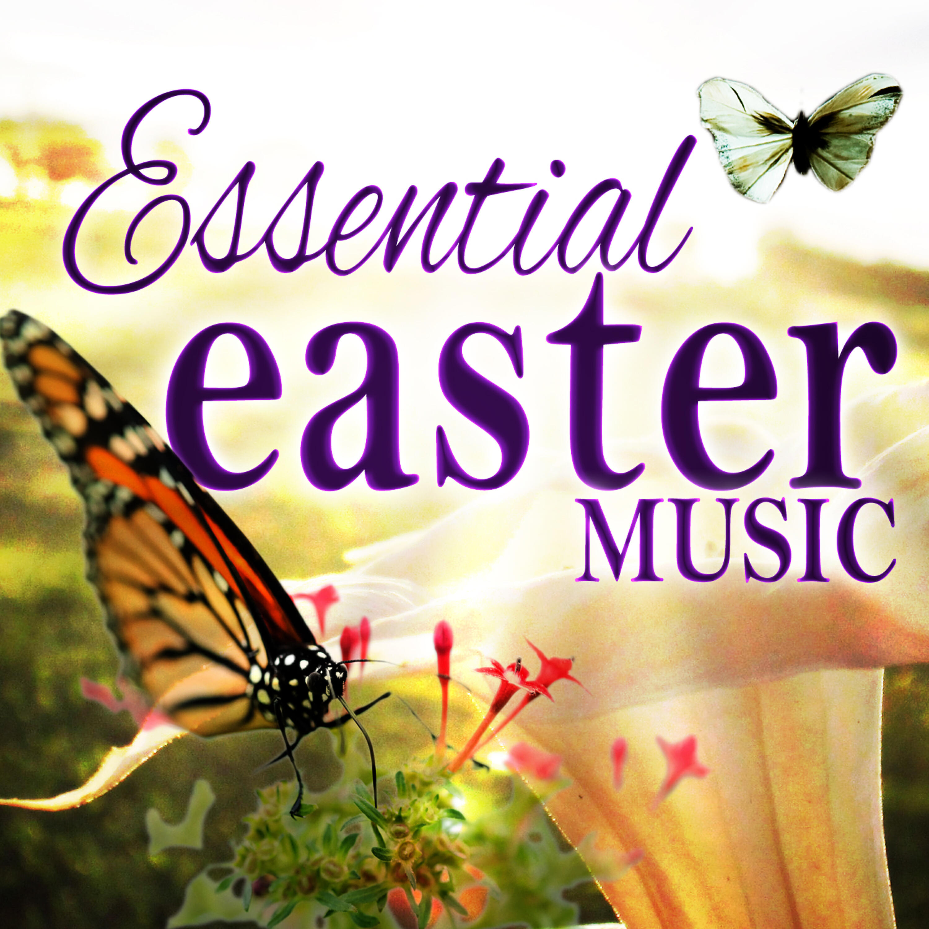 Kid's Easter All-Stars