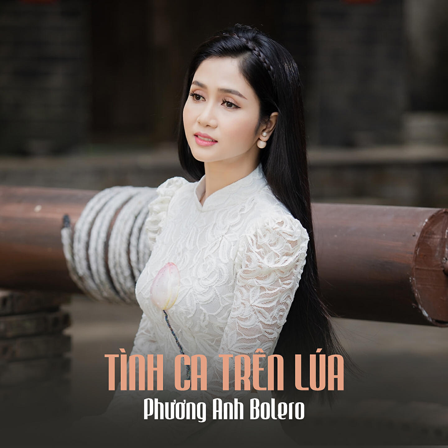 Релиз Tình Ca Trên Lúa