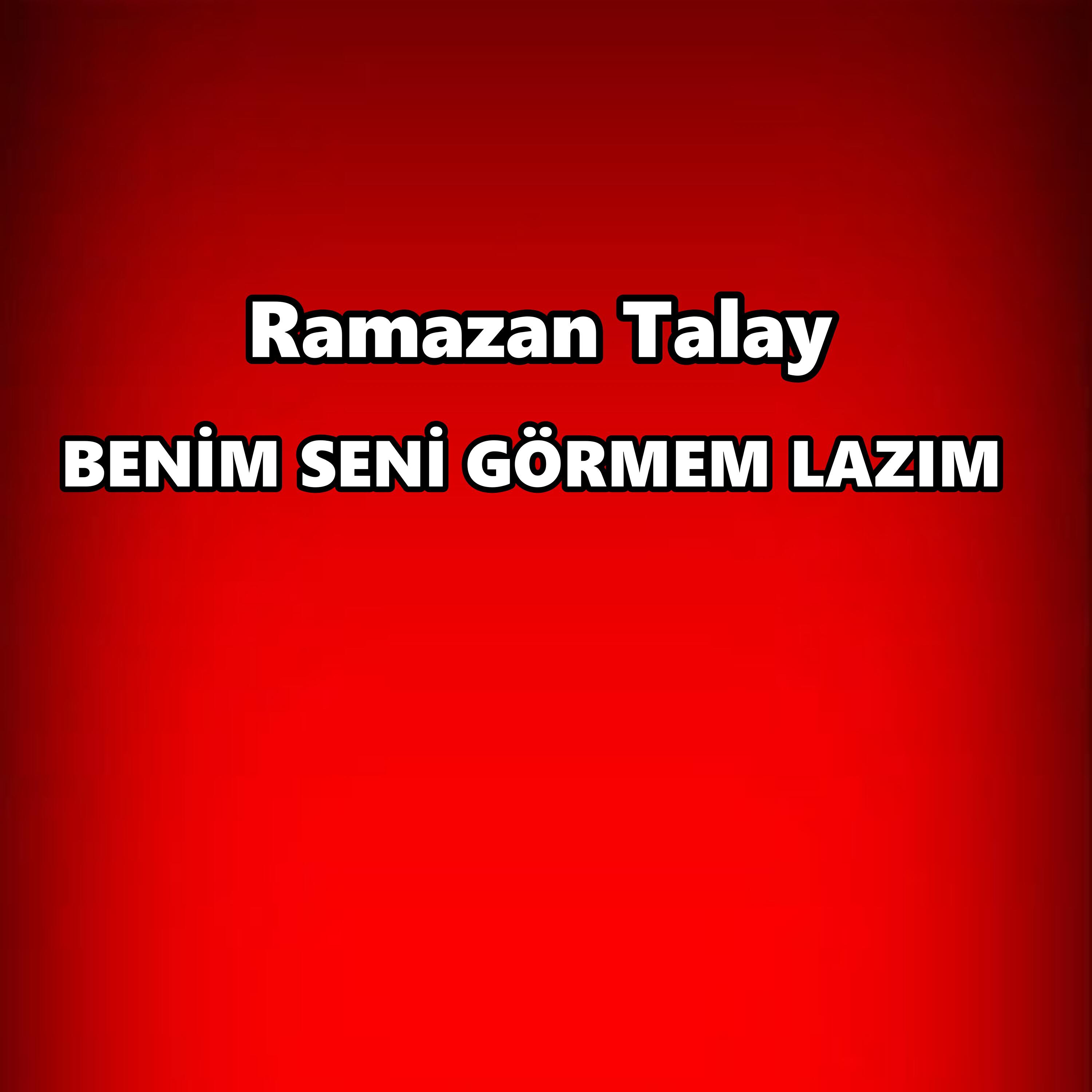Релиз Benim Seni Görmem Lazım