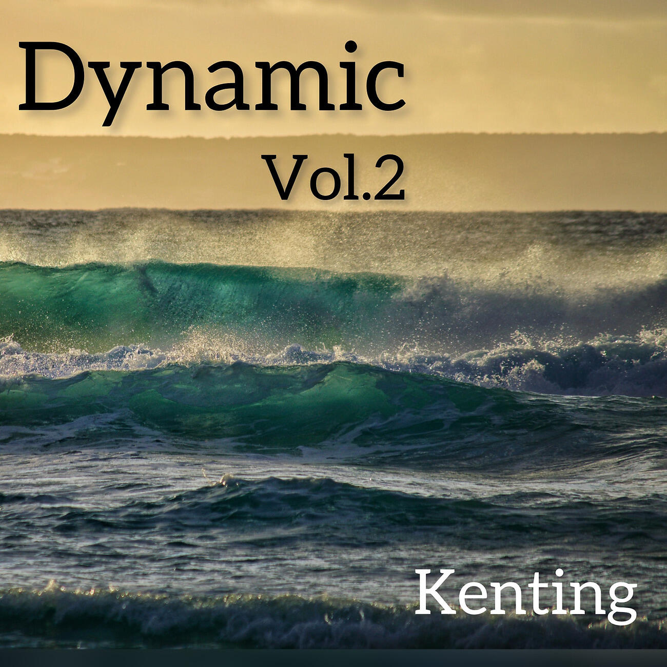 Релиз Dynamic, Vol.2
