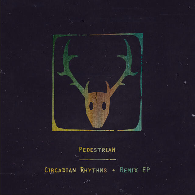 Релиз Circadian Rhythms (Remix)