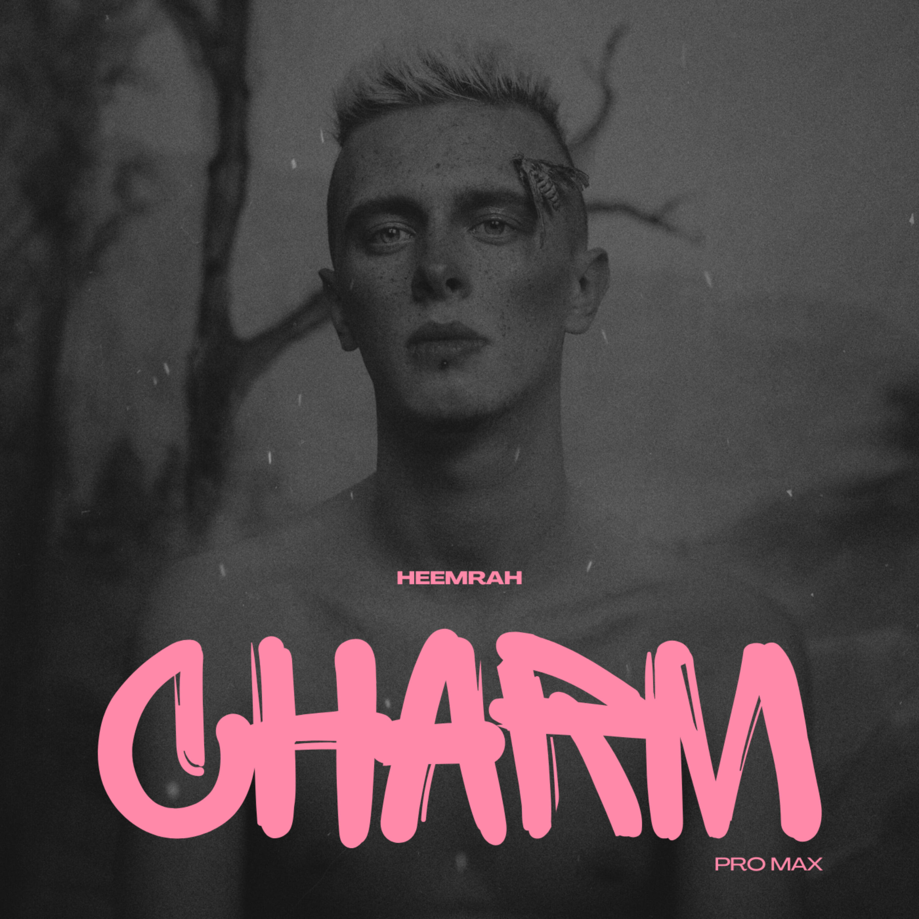 Релиз Charm Pro Max